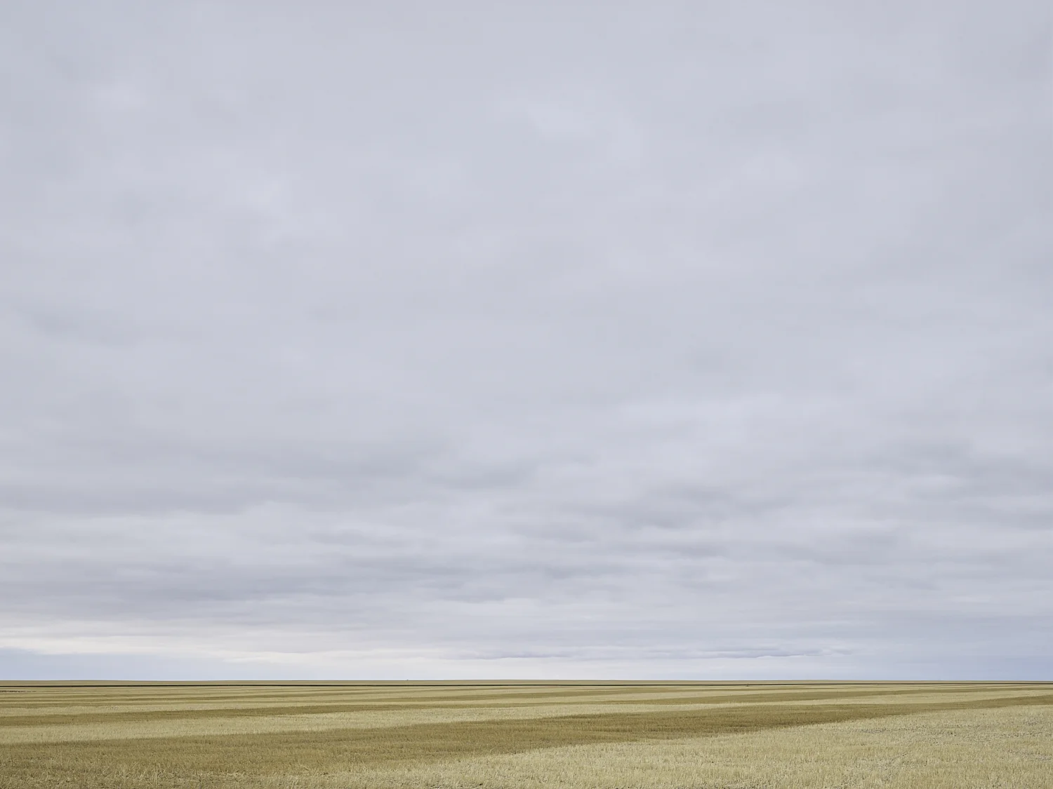cleared 09, South of Belle Plaine, Saskatchewan, Canada, 2017