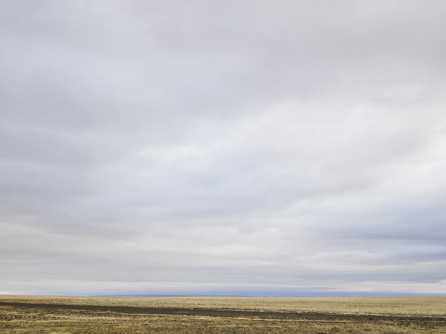 cleared 10, North of Avonlea, Saskatchewan, Canada, 2017