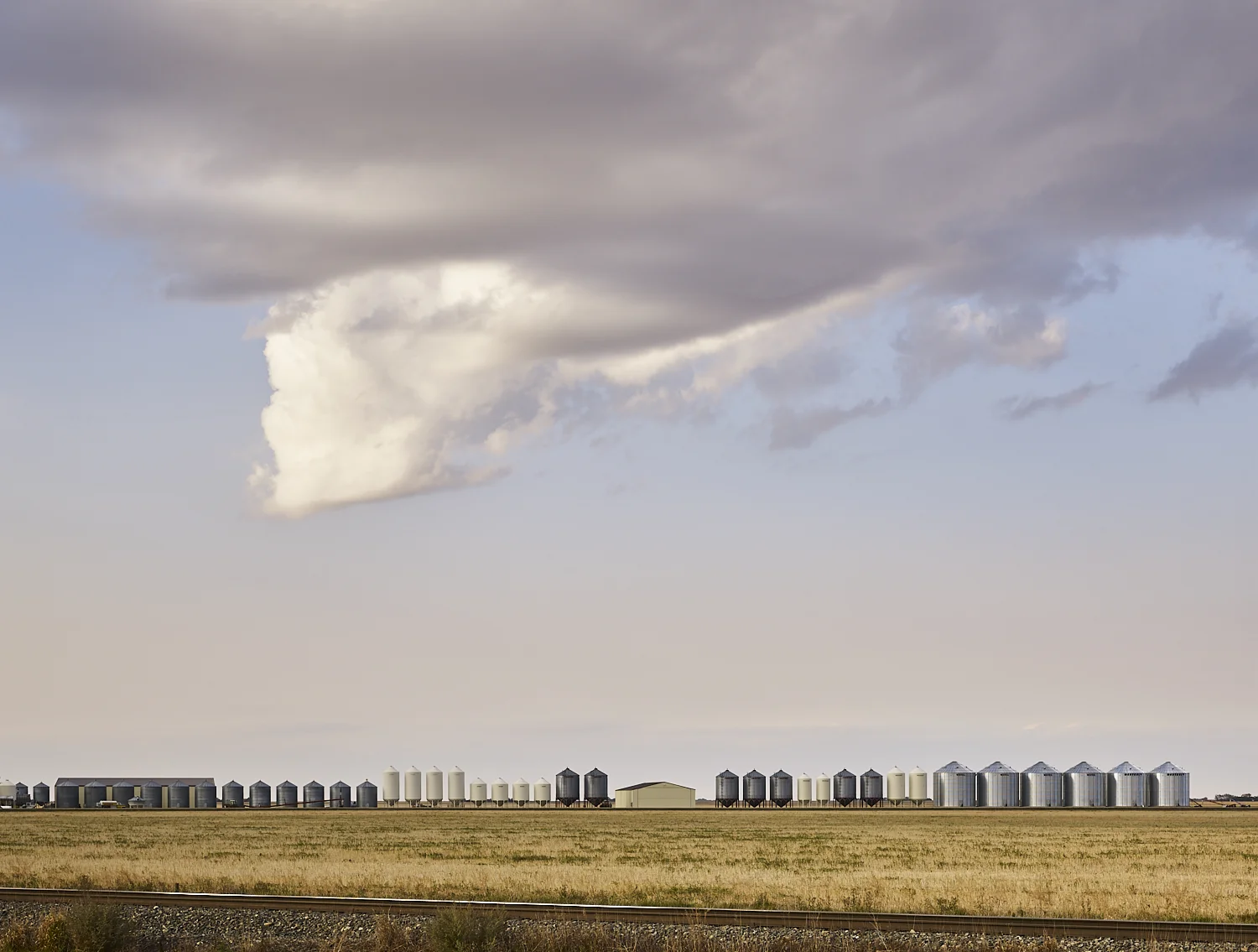 cleared 11, Near Lang, Saskatchewan, Canada, 2017