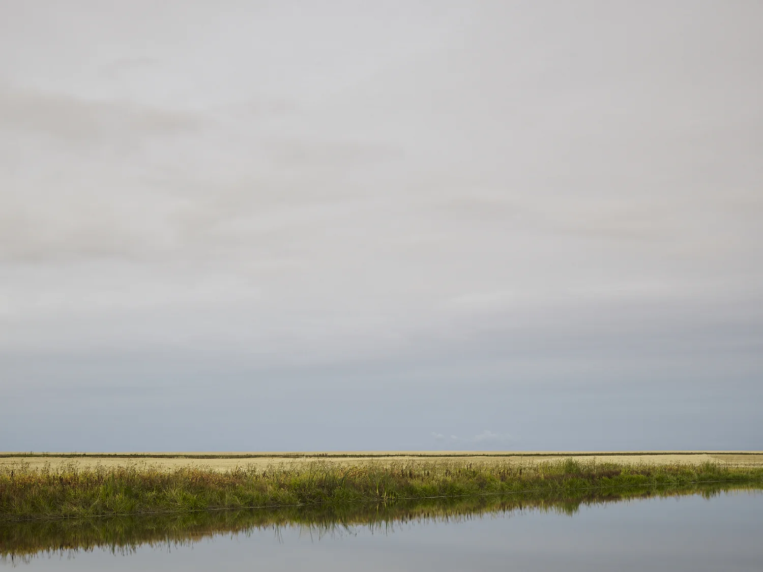 cleared 14, North of Drinkwater, Saskatchewan, Canada, 2017