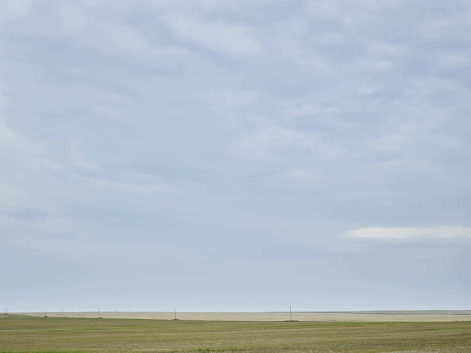cleared 15, South west of Regina, Saskatchewan, Canada, 2017