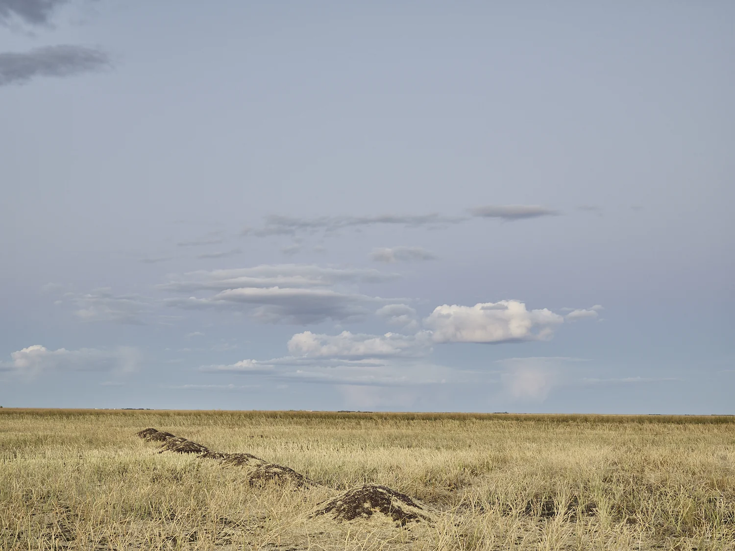 cleared 17, North of Estlin, Saskatchewan, Canada, 2017