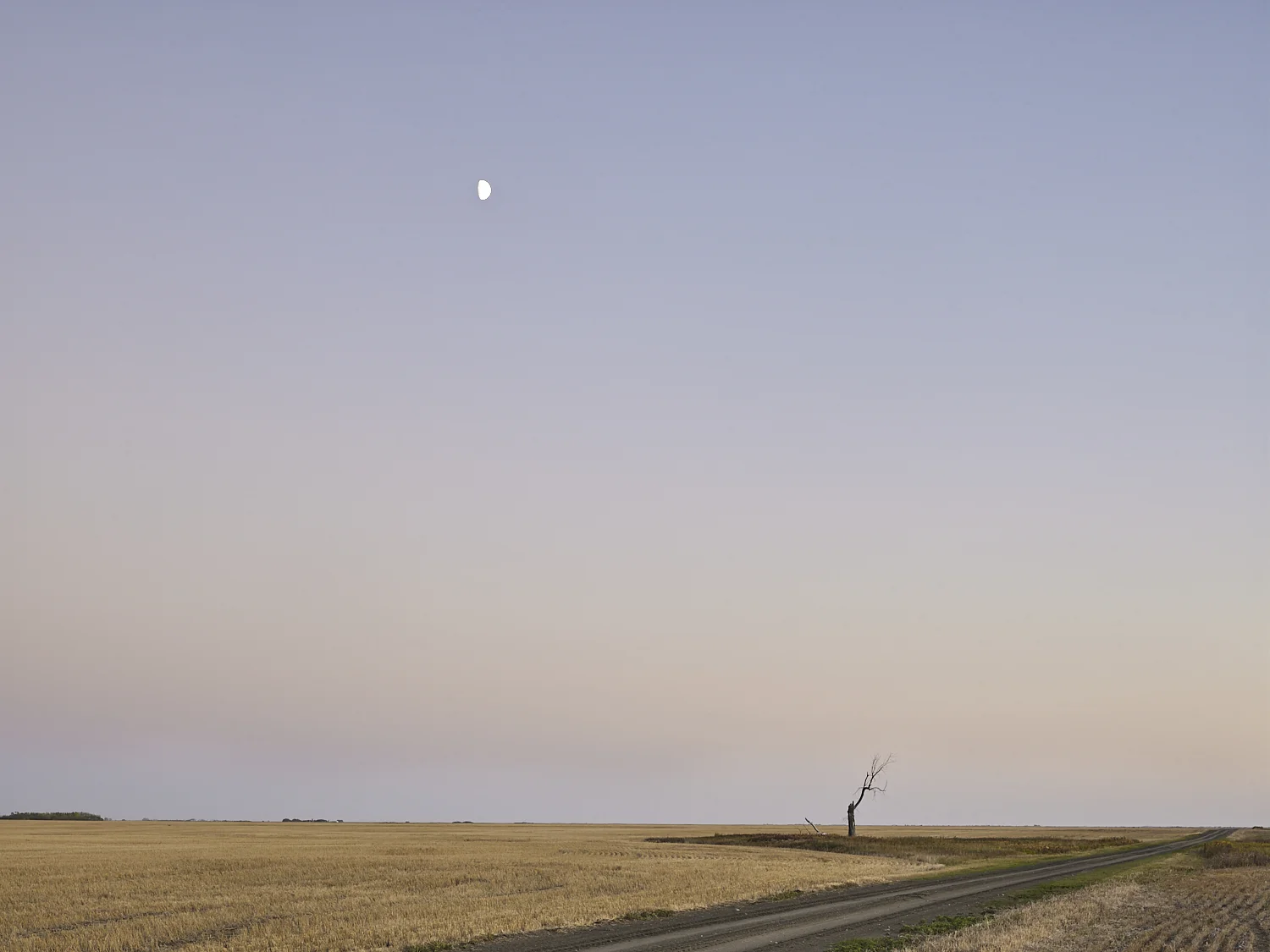 cleared 18, South of Yellow Grass, Saskatchewan, Canada, 2017