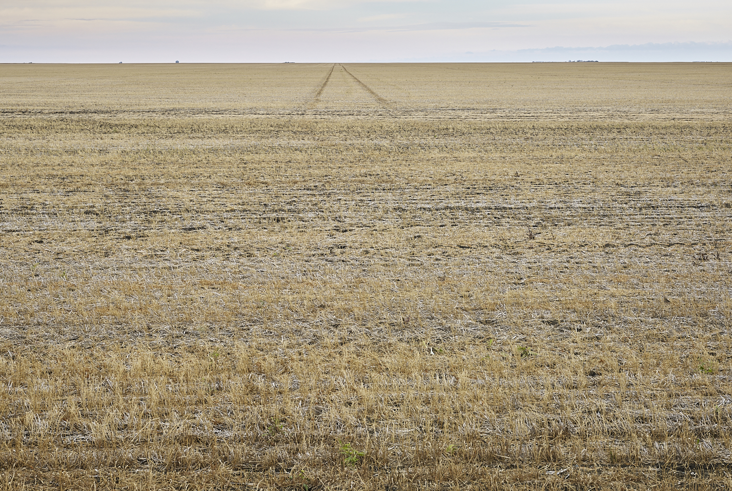  Traces 05, Big Muddy, Saskatchewan, Canada, 2017 