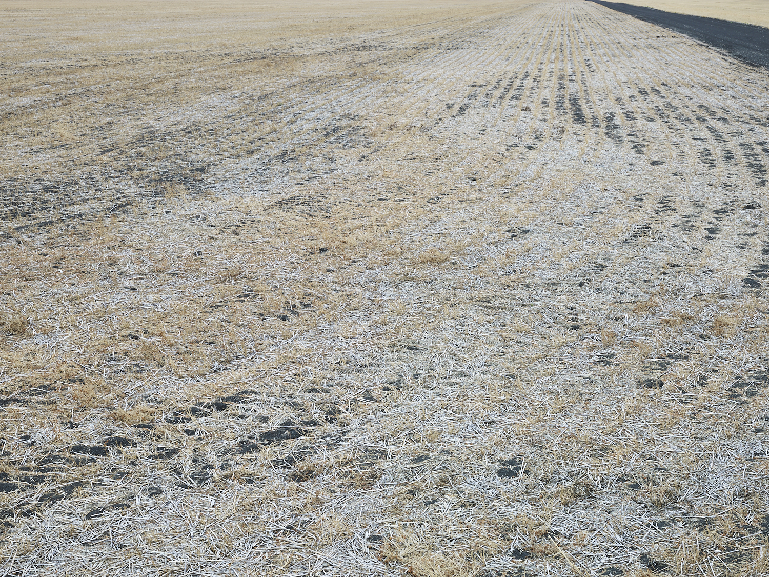  Traces 01, South west of Regina, Saskatchewan, Canada, 2017 