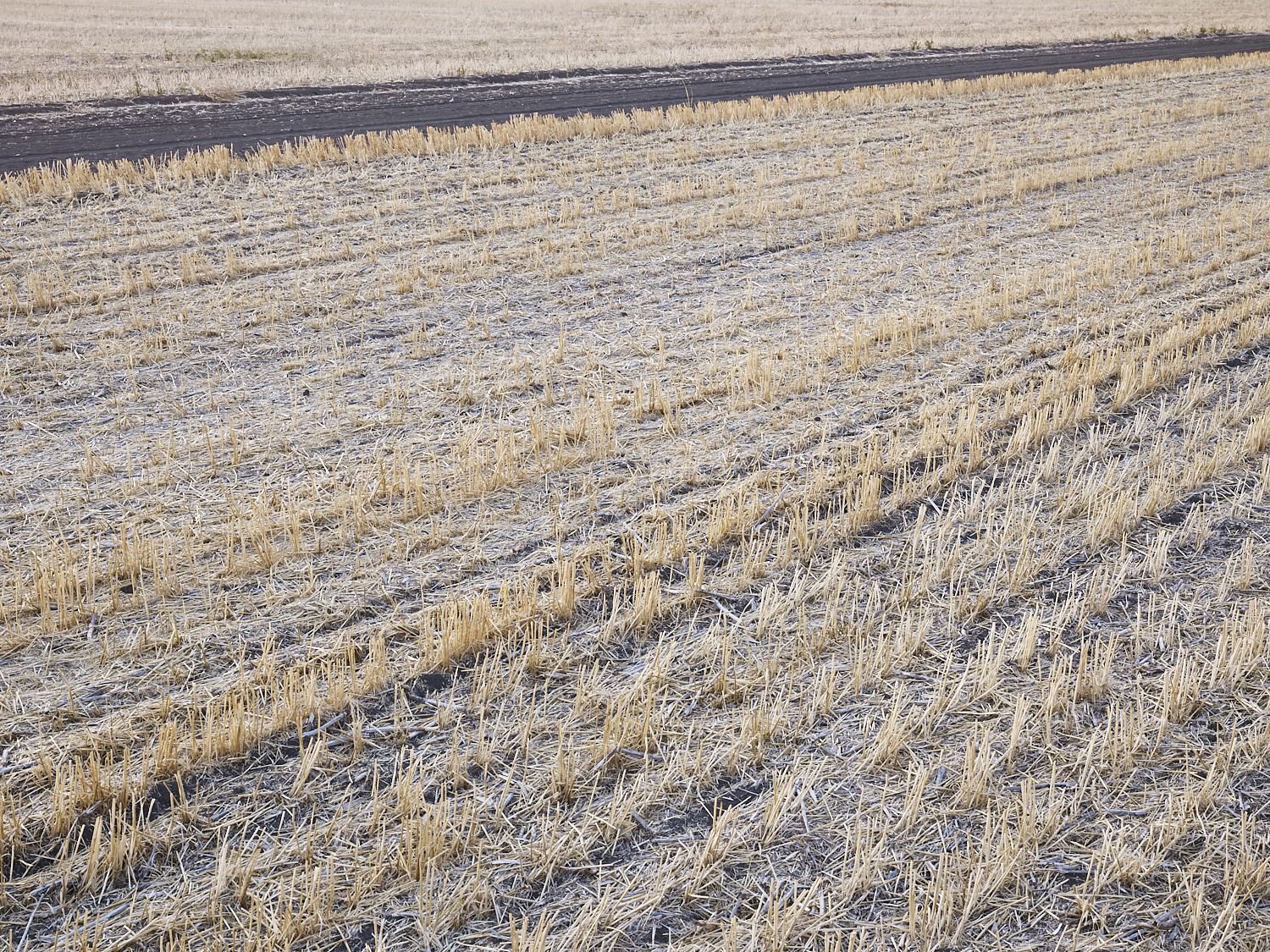  Traces 04, South west of Regina, Saskatchewan, Canada, 2017 