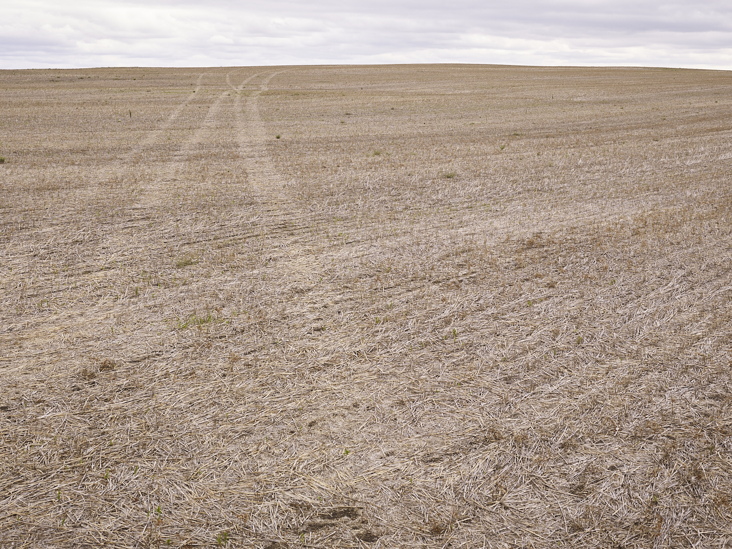  Traces 07, South west of Regina, Saskatchewan, Canada, 2017 