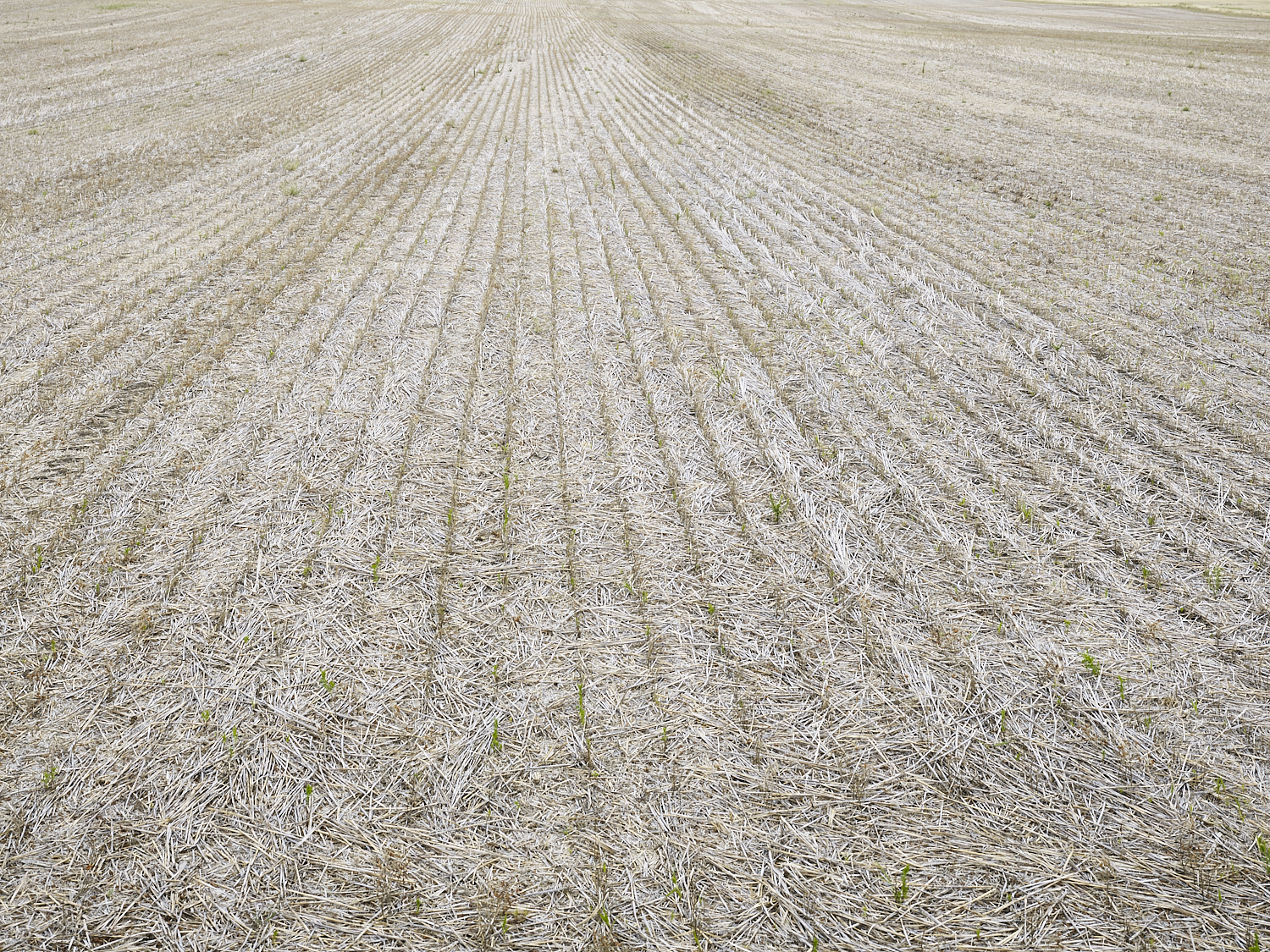  Traces 08, South of Regina, Saskatchewan, Canada, 2017 