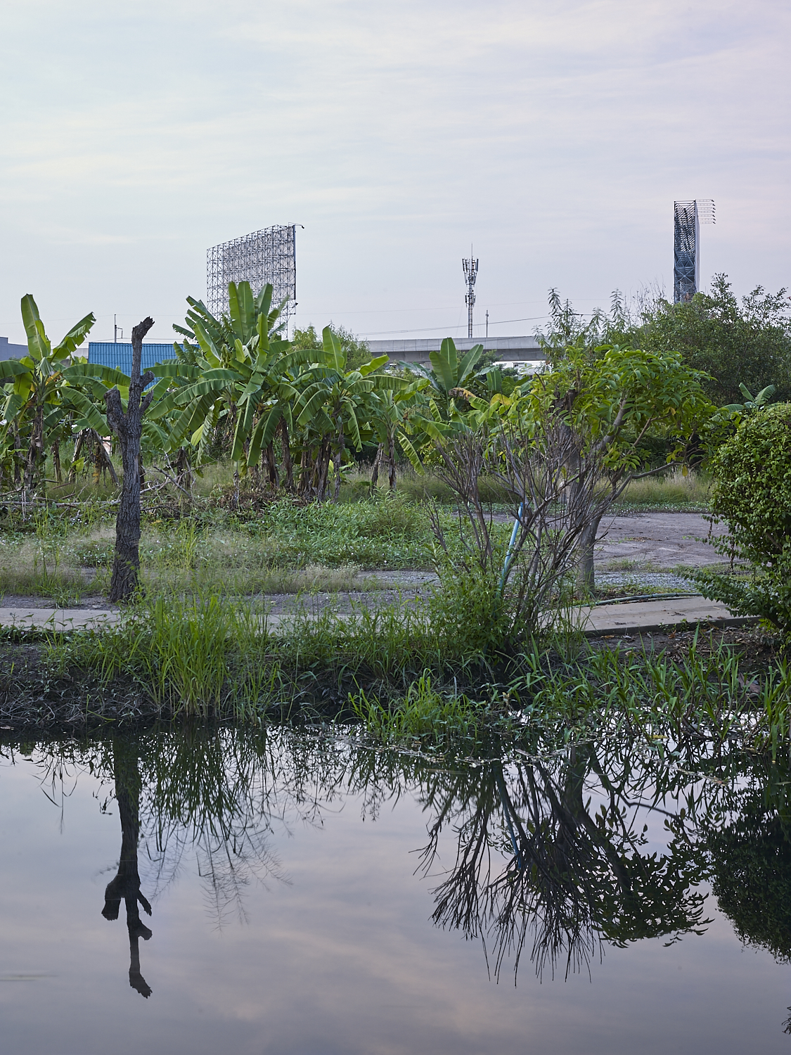 liquid bangkok 41, Bangkok, 2016