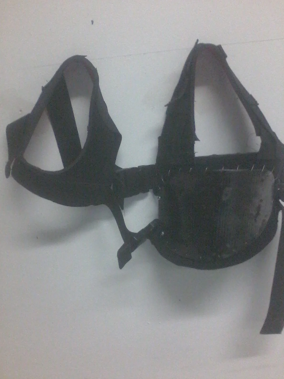 IMG_20130116_222321.jpg