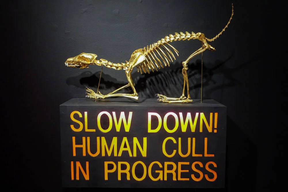 JamieRoadkillGalleryClosing12.8.2015-43.jpg