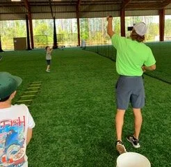 Baseball Flyballs Turf.jpeg