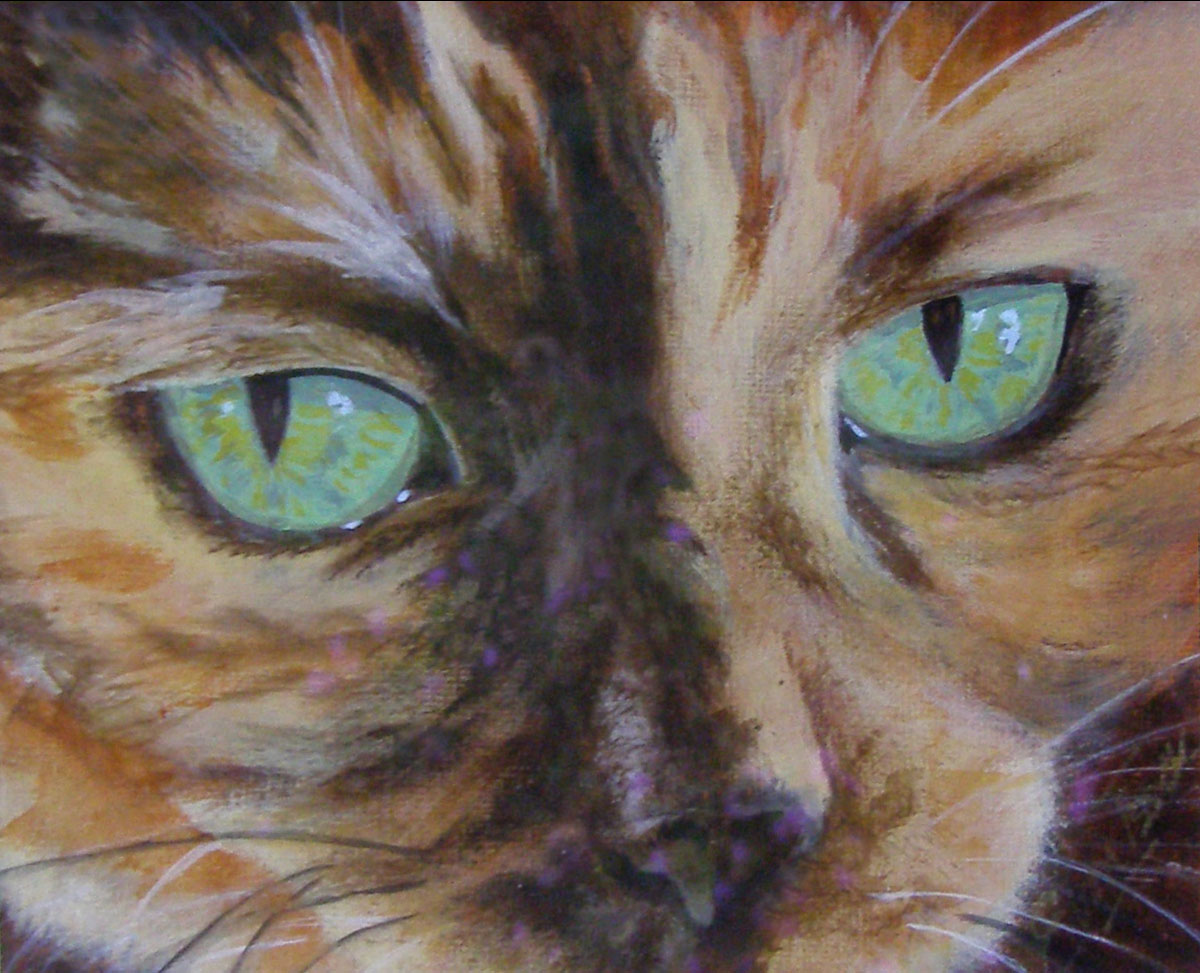 Kathyrn Cat