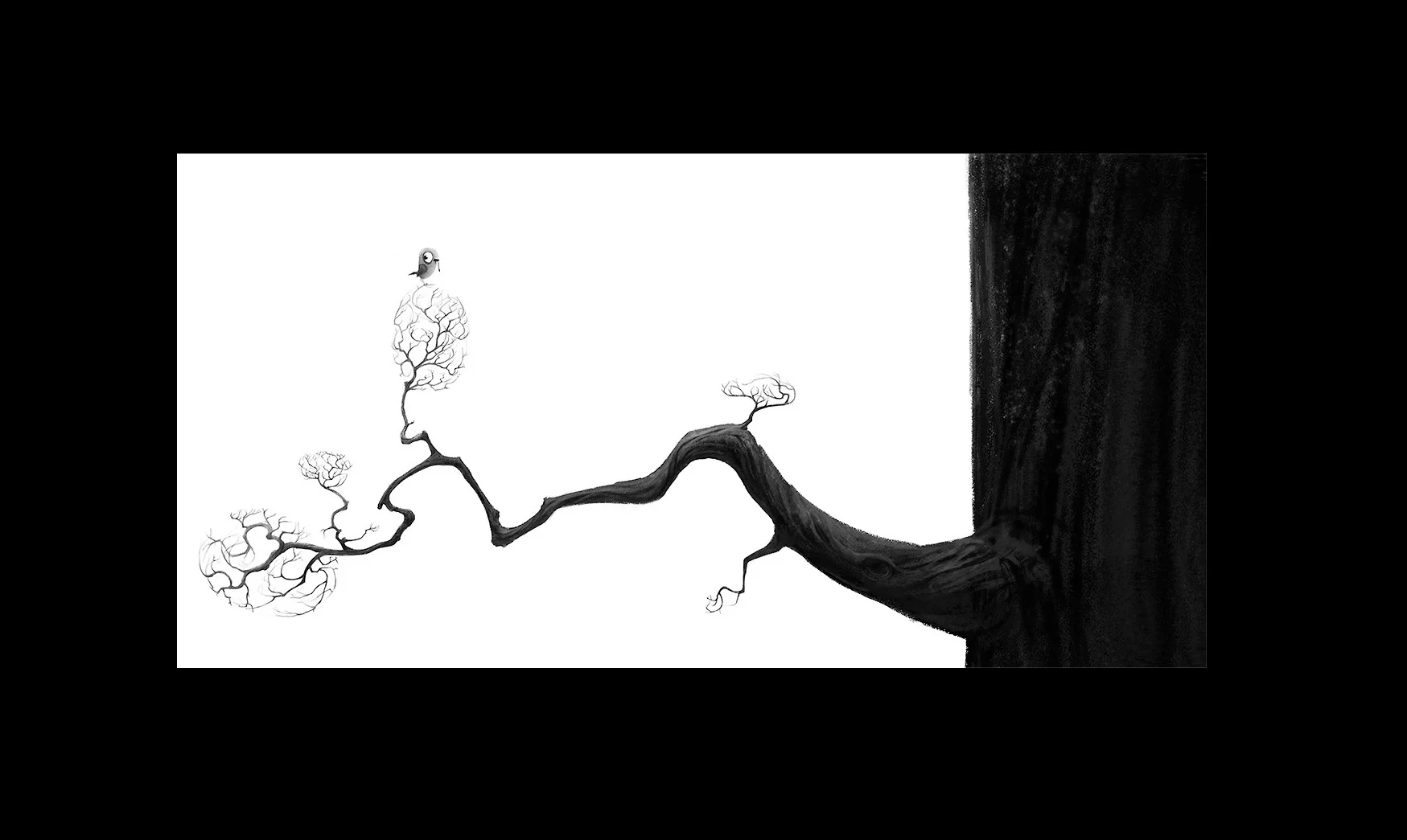 Jake_Panian_birdbranch.jpg