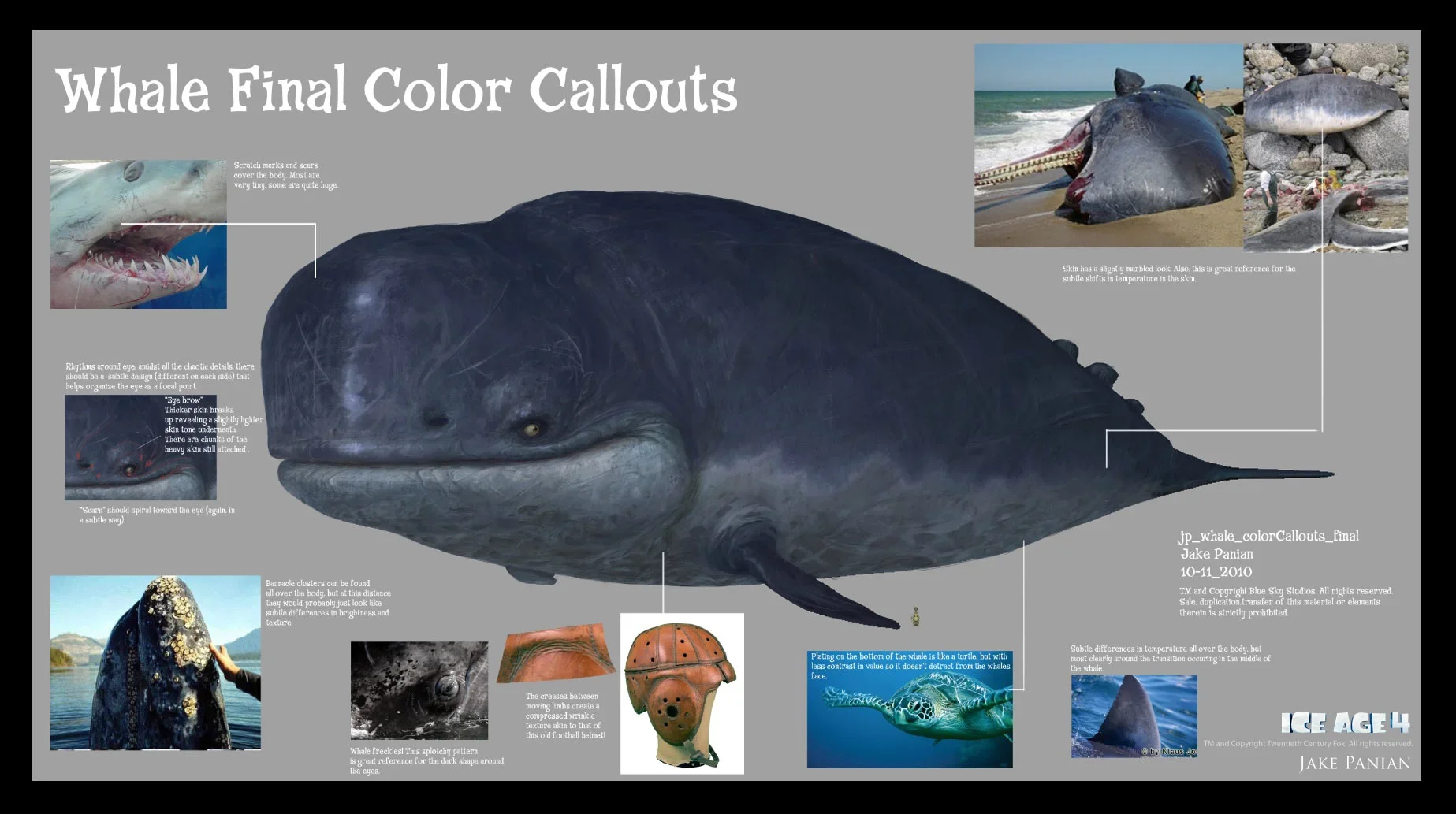 3_jake_Panian_whale_color.webp