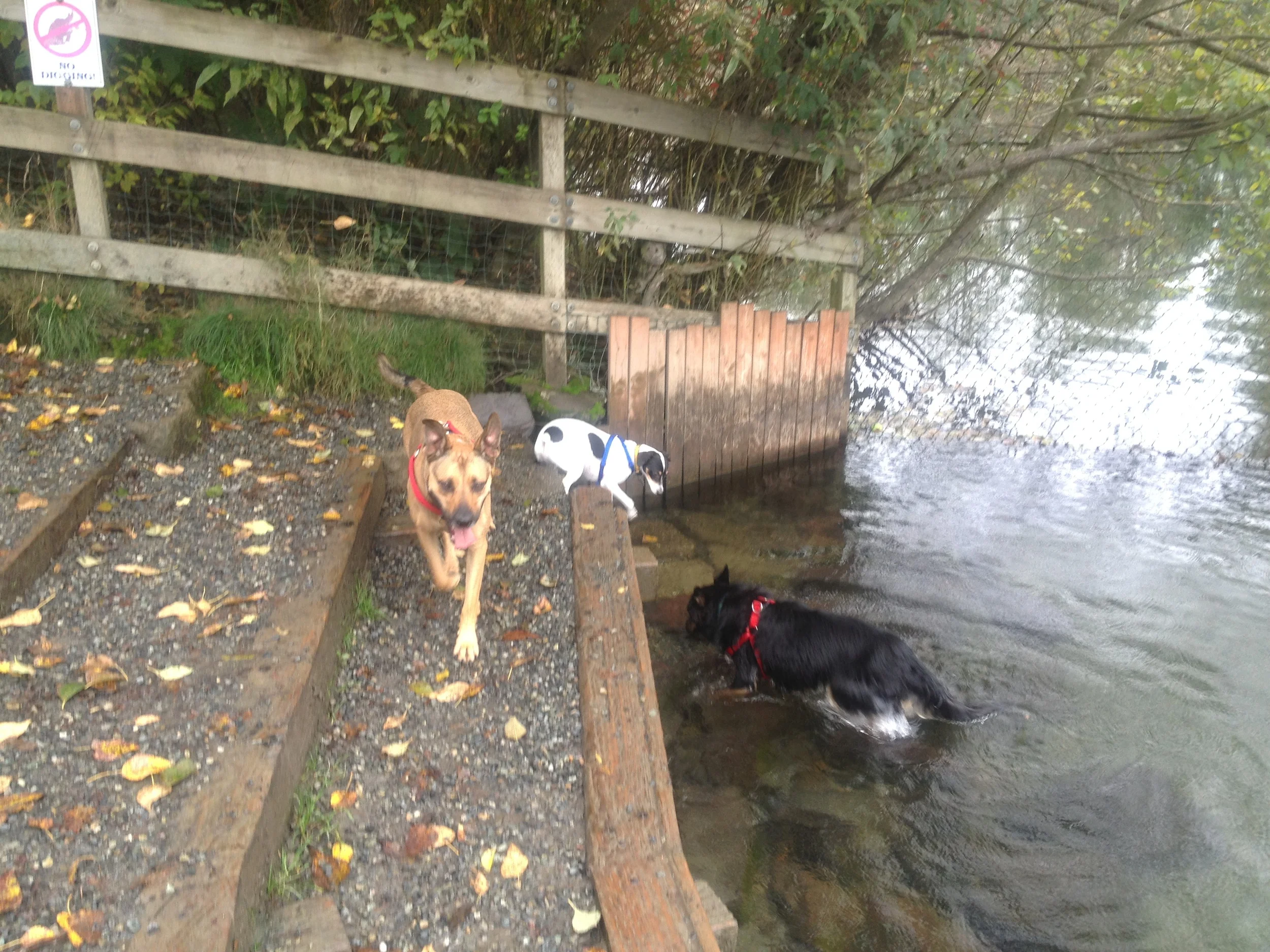 2013-10-16 15.01.49.jpg