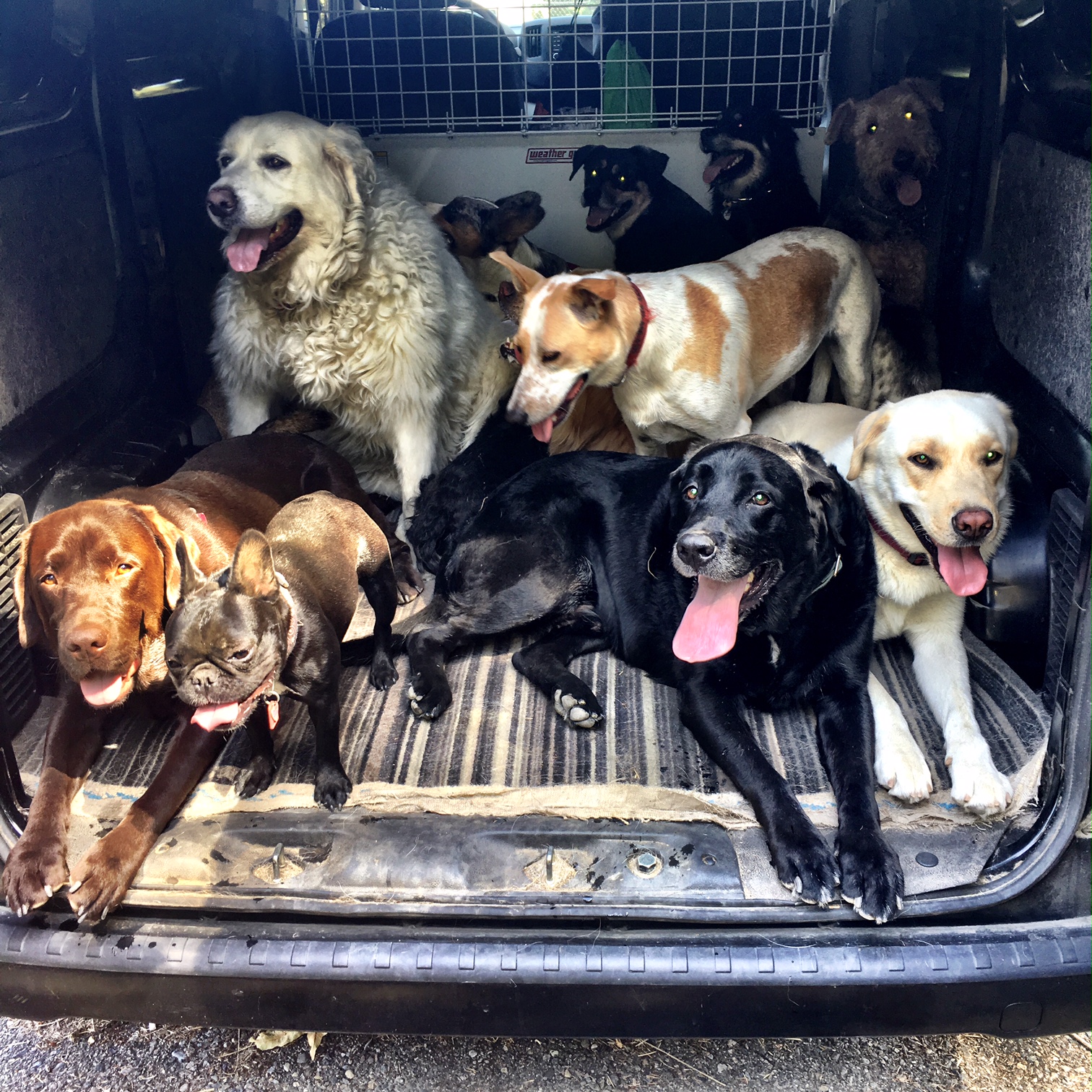 pack 2 in the van.jpeg