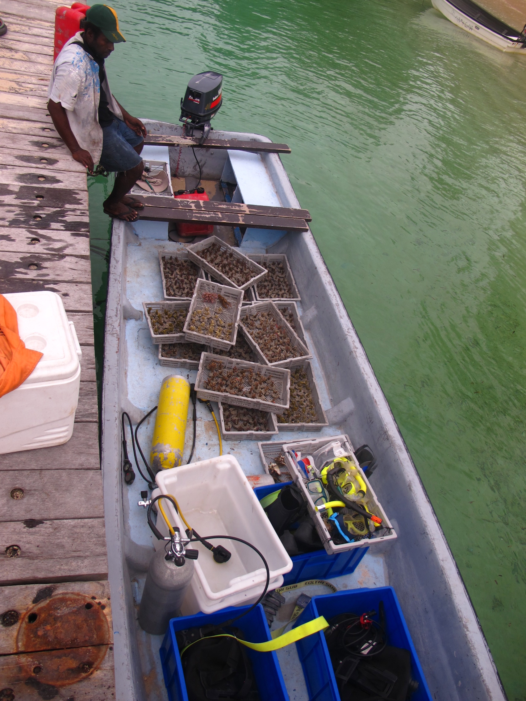 CULTURED CORAL PROJECT IN PNG1.jpg