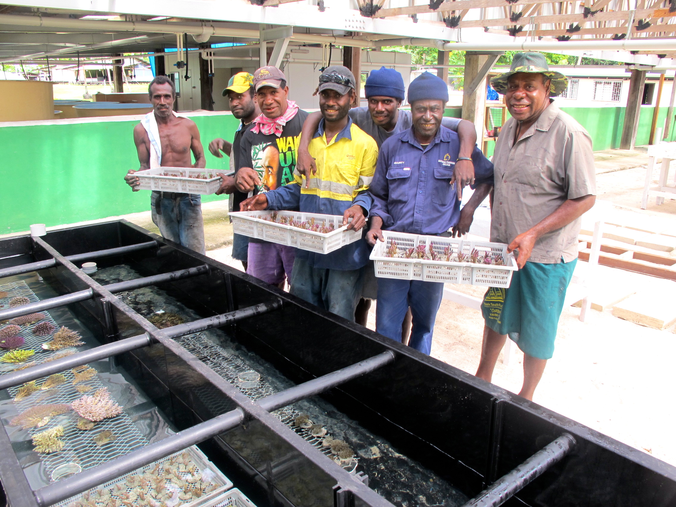 CULTURED CORAL PROJECT IN PNG.JPG