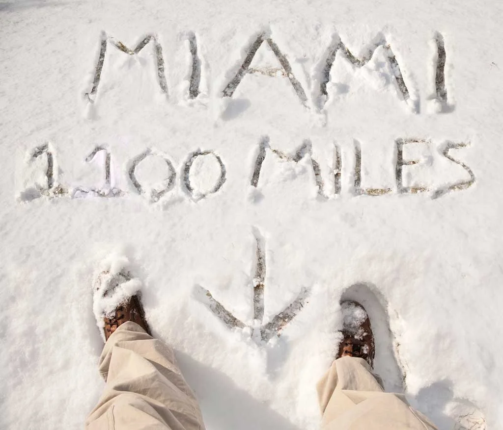 miami-Snow-Canvas-3-5.jpg