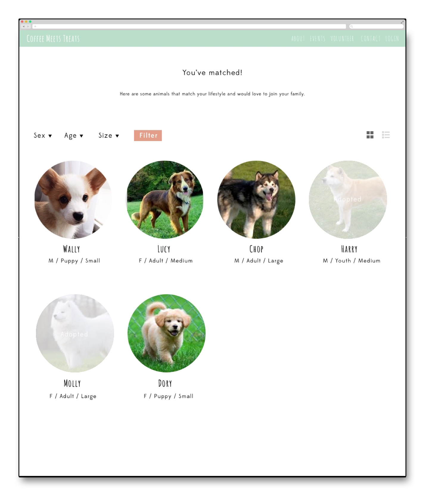 If you have matches, you can be pretty confident that one of these pals are excited to meet you and will fit right in with your family.