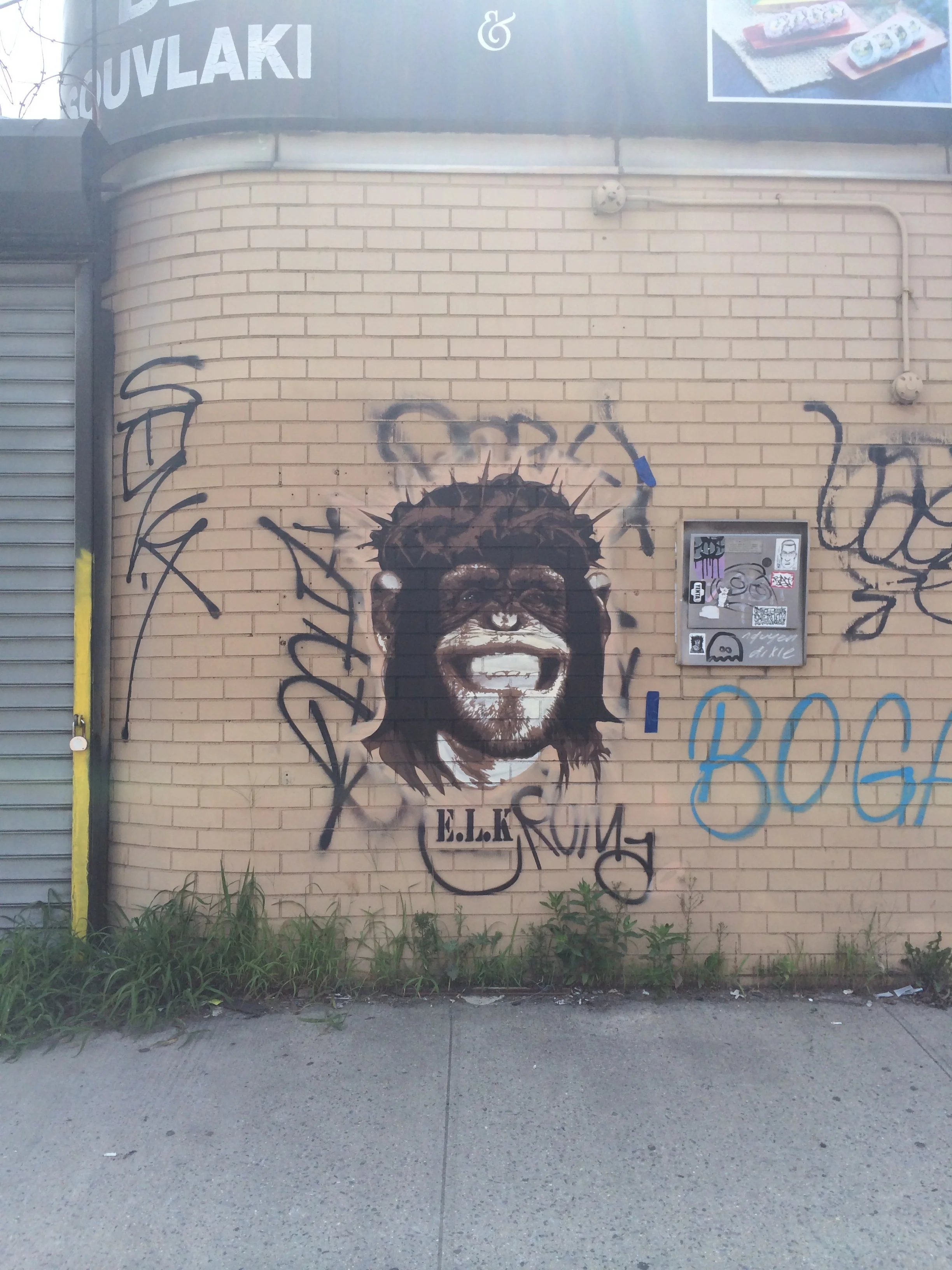 Brooklyn NY