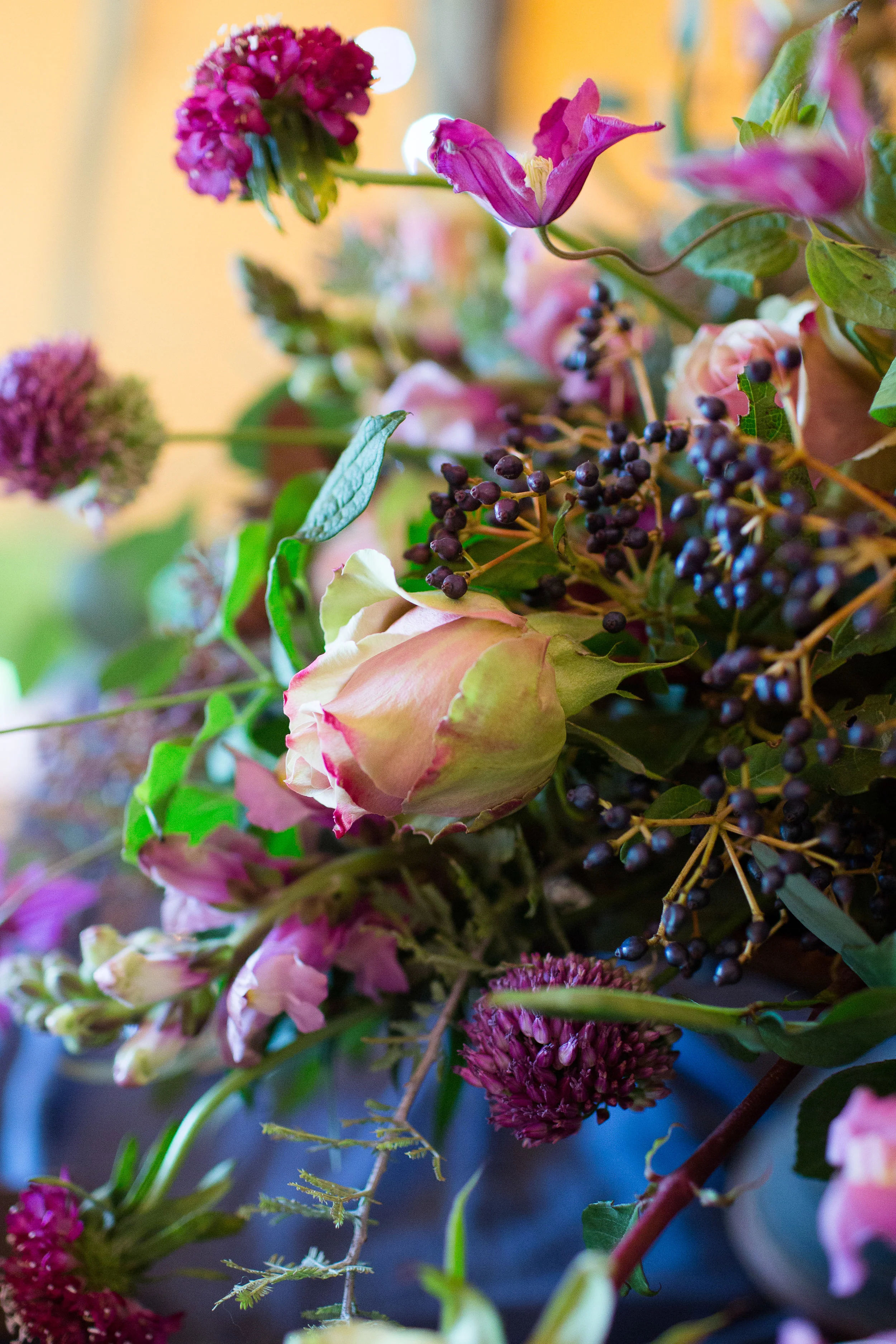 WITDartsOct2017_SarahLaurenPhotography-0018.jpg
