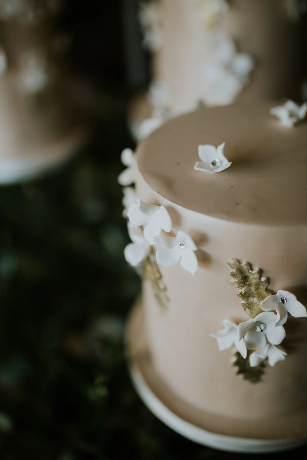 Cake1-11.jpg