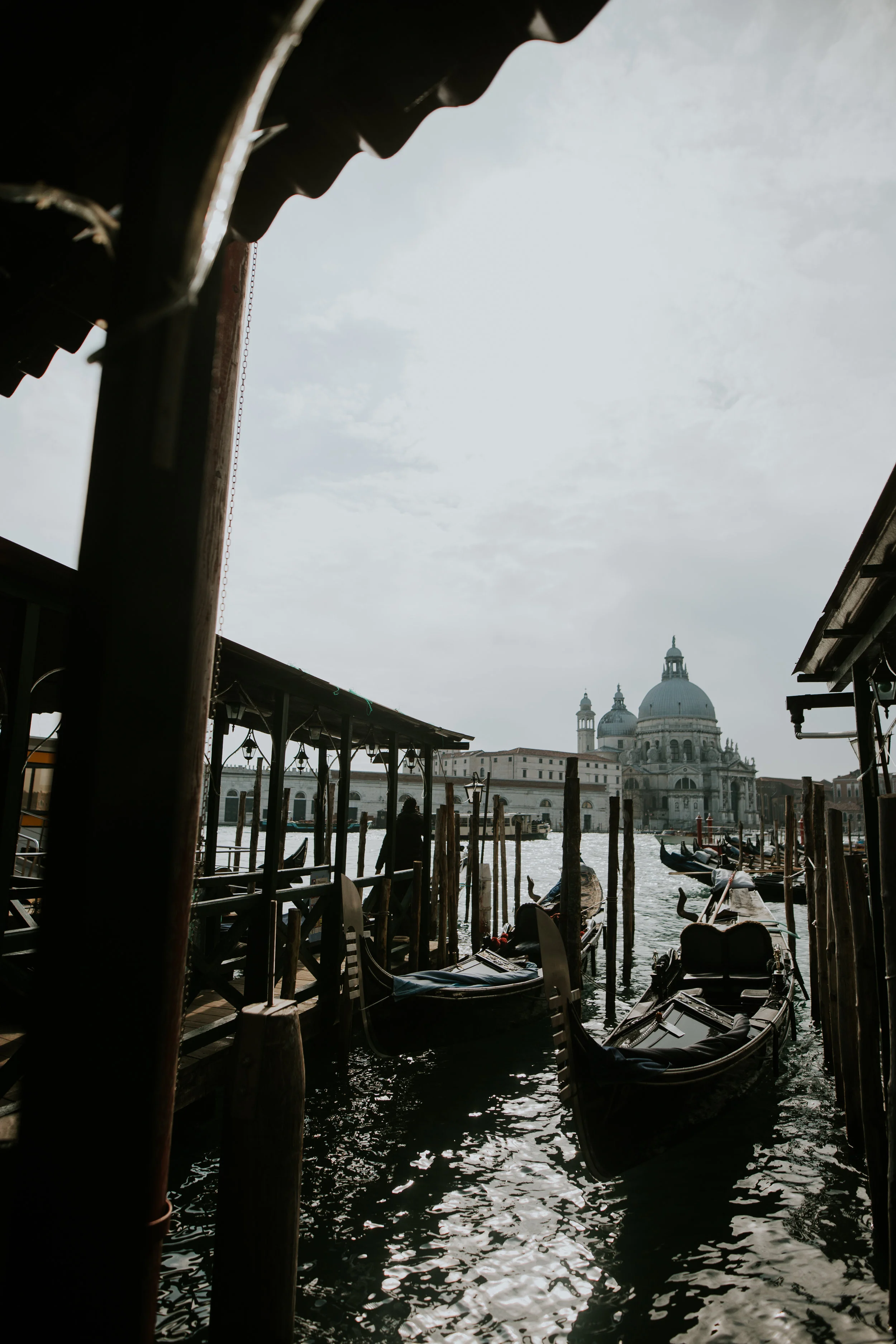 AmandaRyanVENICE-198.jpg
