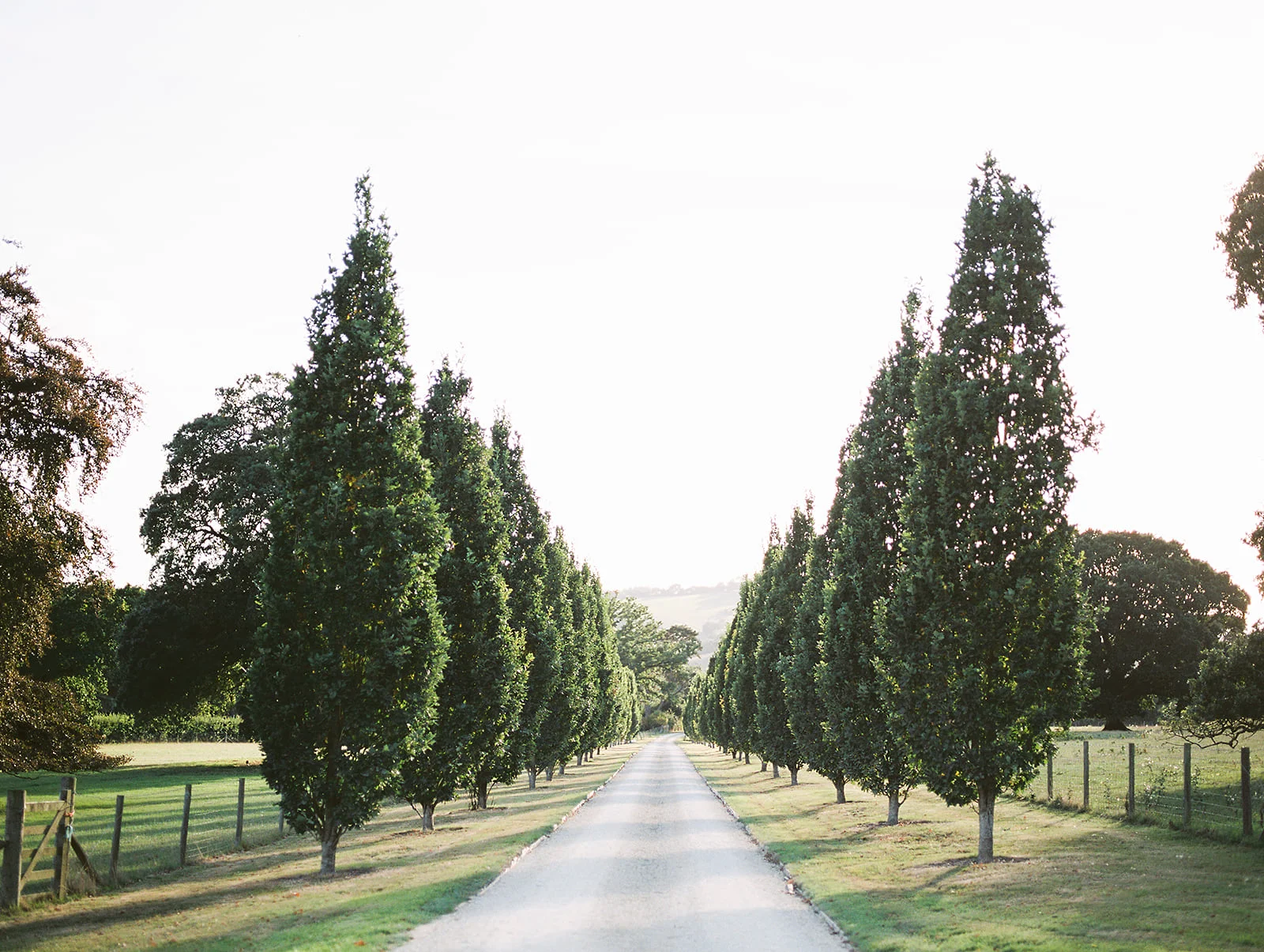 Sophie_and_Chris-Exeter_England_Wedding-Andrew_and_Ada_Photography-1039.jpg