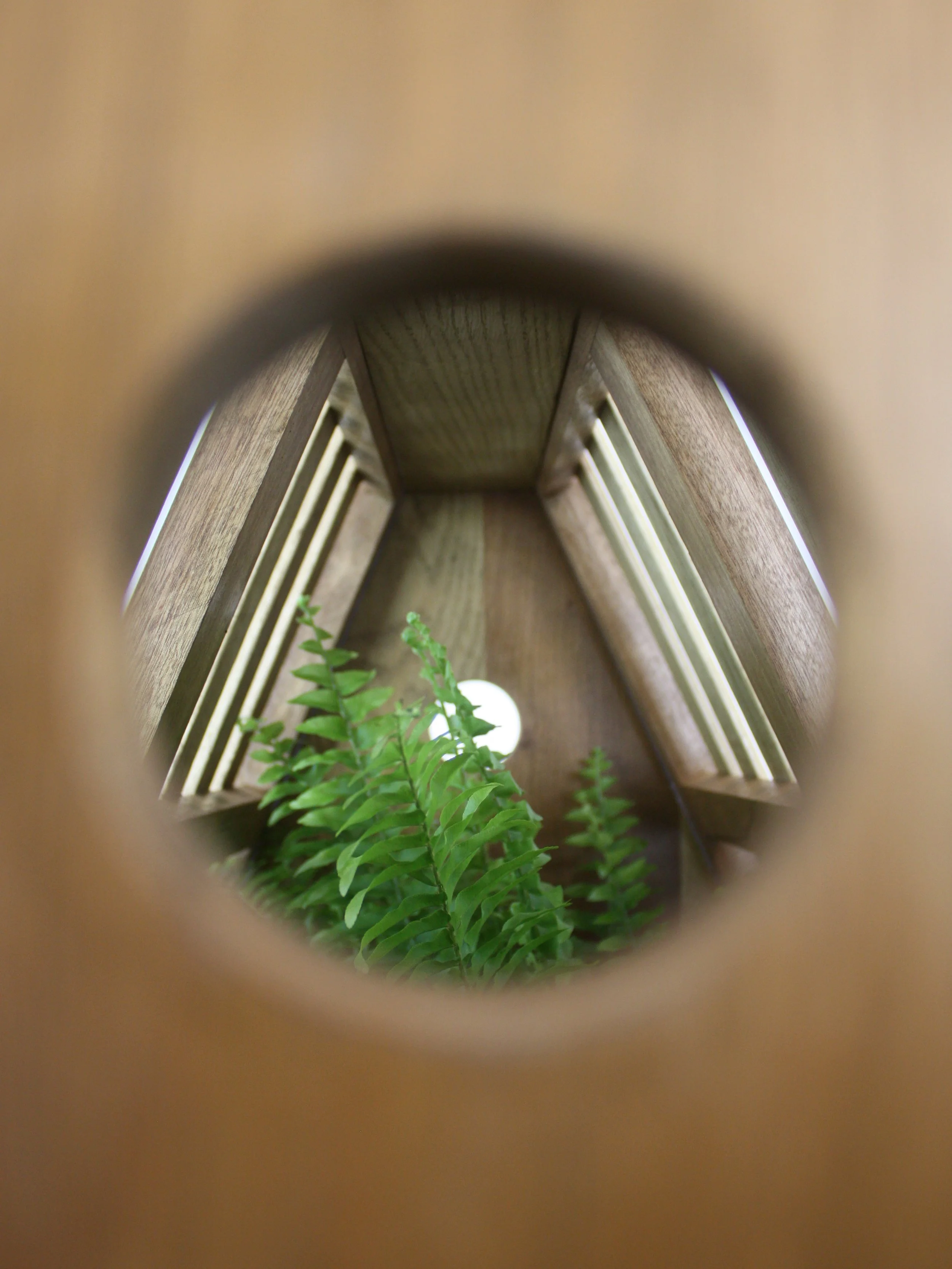 wardian case trim.jpg