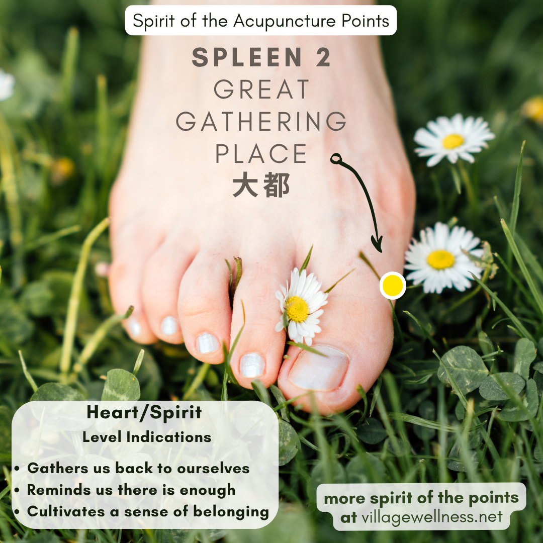 Spleen 2 — Great Gathering Place — An Acupuncture Point for Belonging, Nourishment & Coming Home