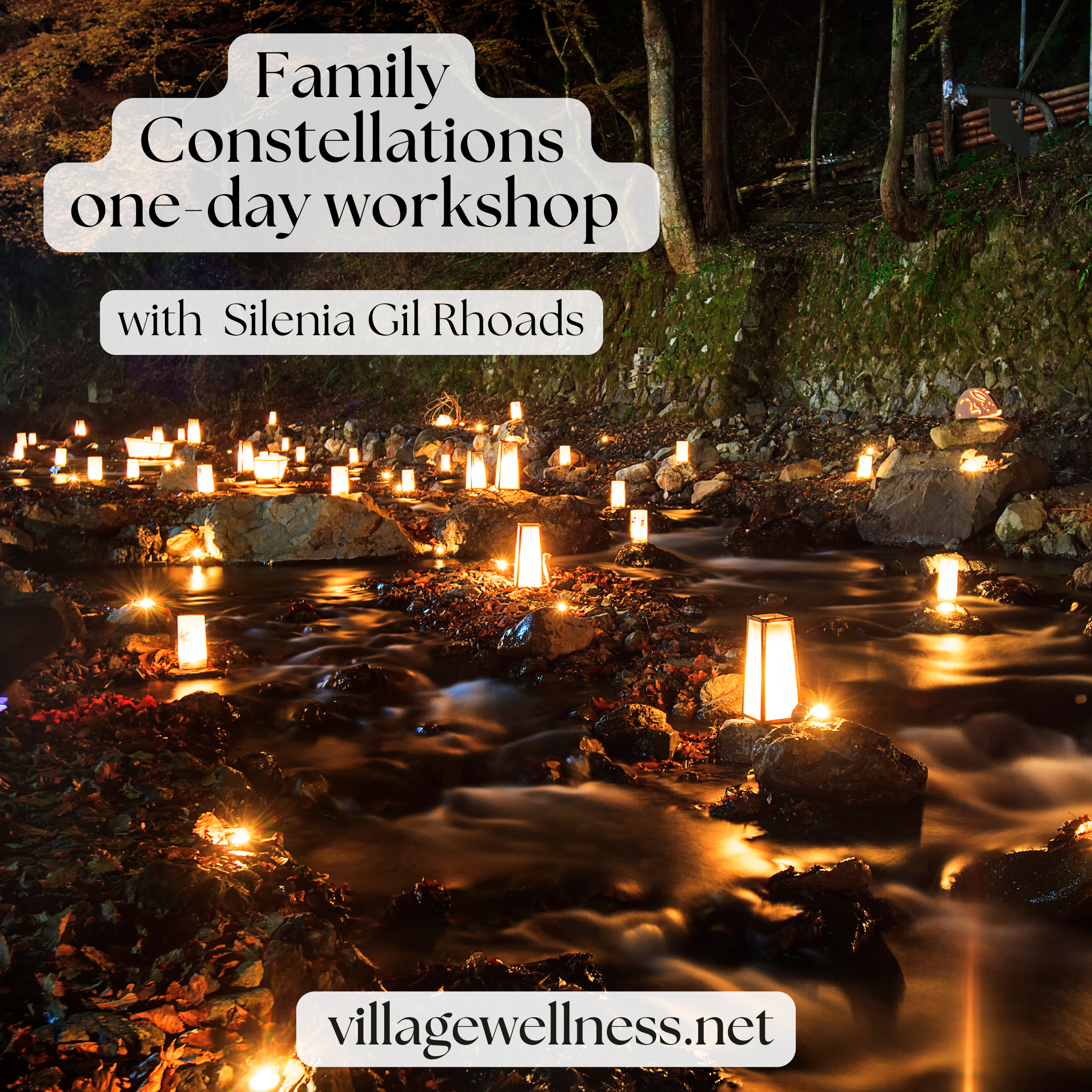 Family Constellations Workshop