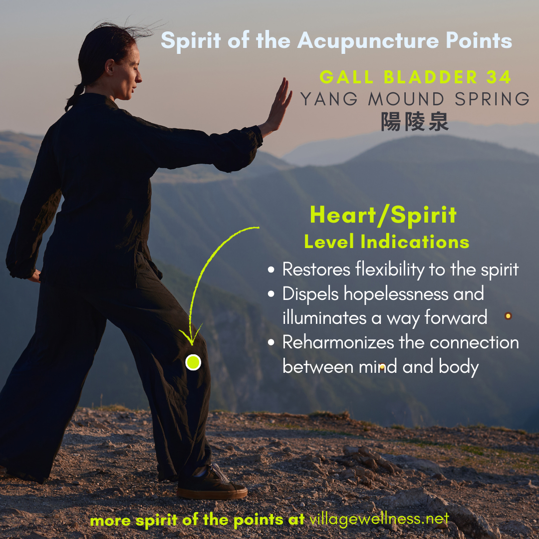 Gallbladder 34 – Yang Mound Spring – An Acupuncture Point to Restore Flexibility, Release Rigidity, &amp; Reclaim Hope