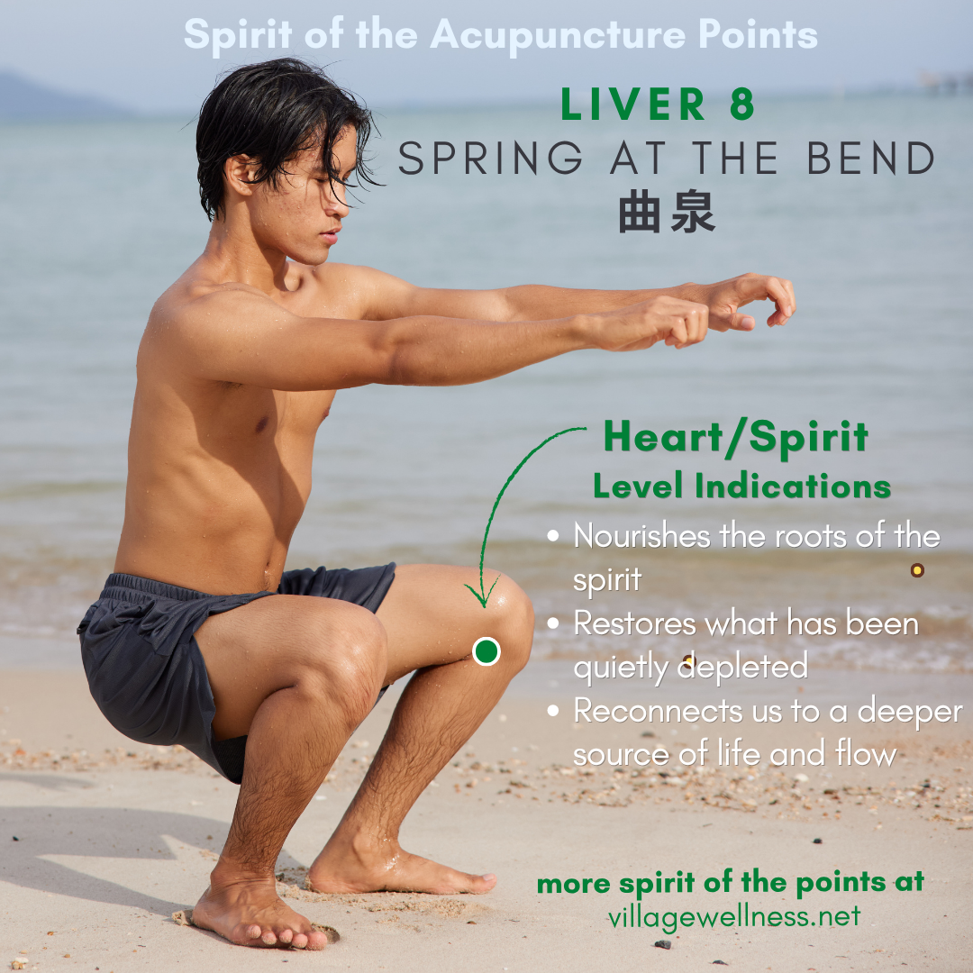 Liver 8 – Spring at the Bend – An Acupuncture Point to Nourish the Roots, Restore Flow, &amp; Replenish What’s Been Depleted