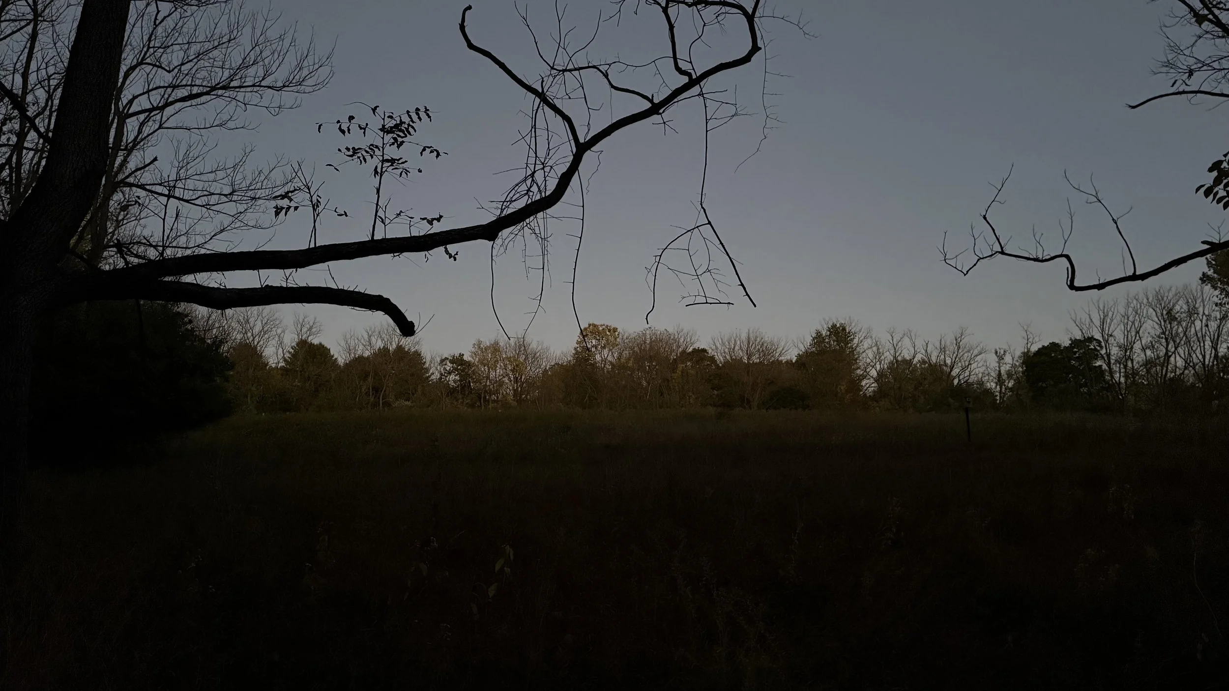 Shadow Work: Learning to Meet the Parts of Ourselves We Hide