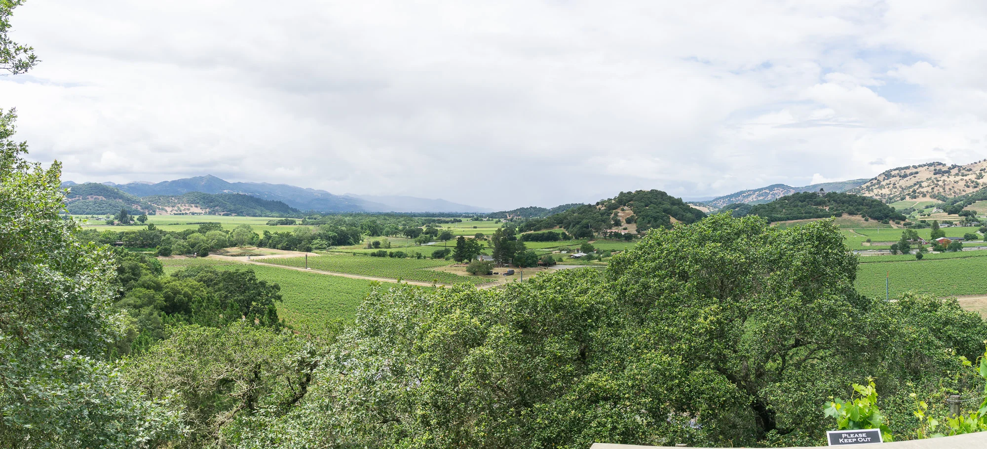 DSC02194-Pano.jpg