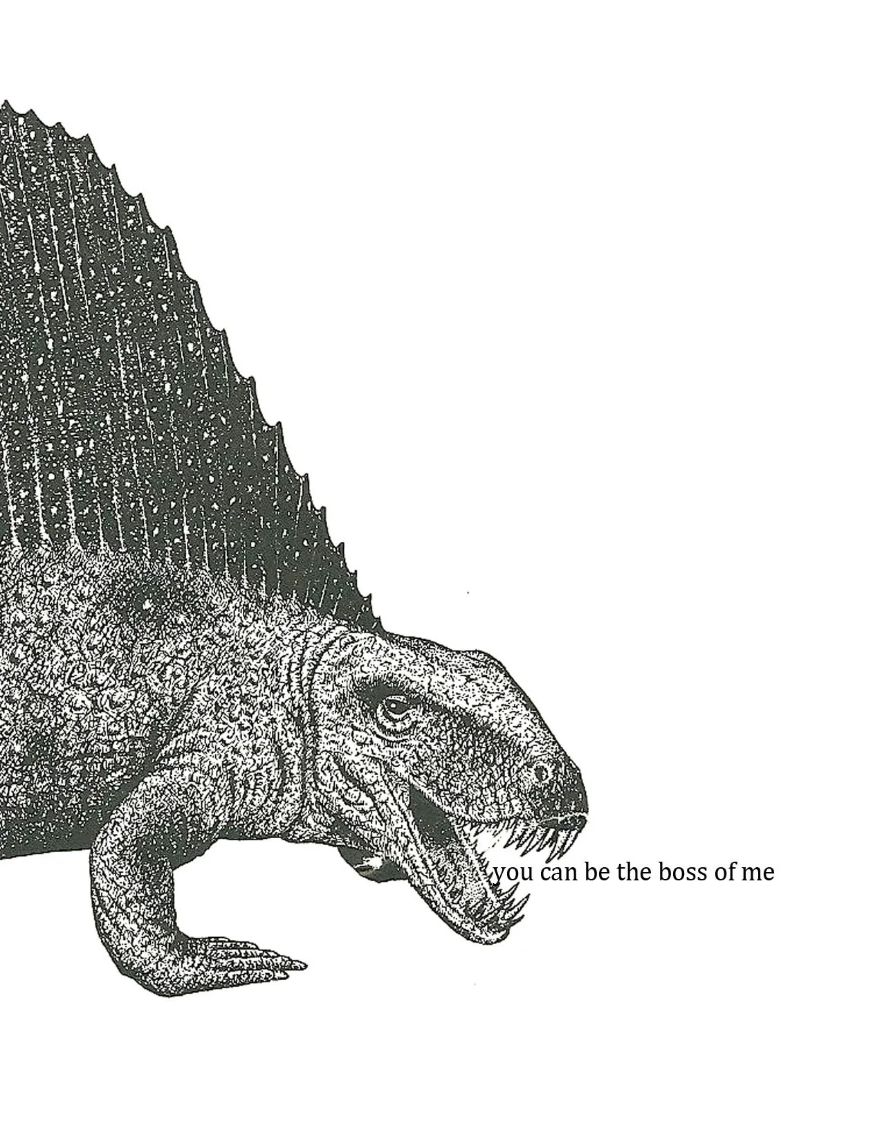 dinosaur card 4