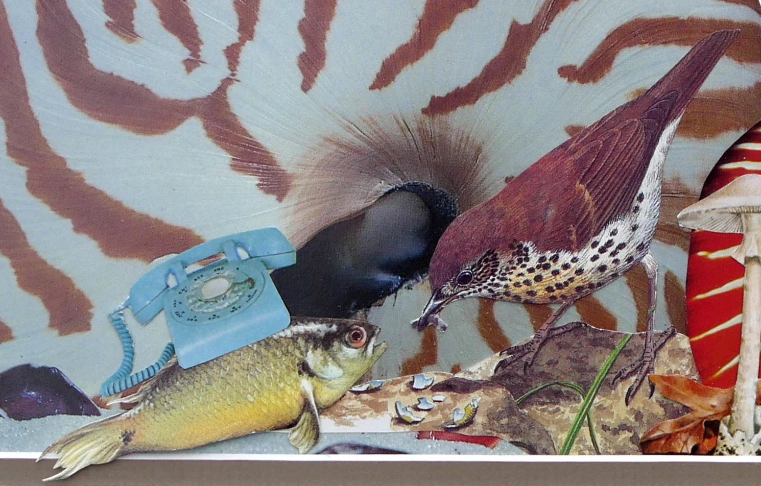 graven_phone_fish.jpg