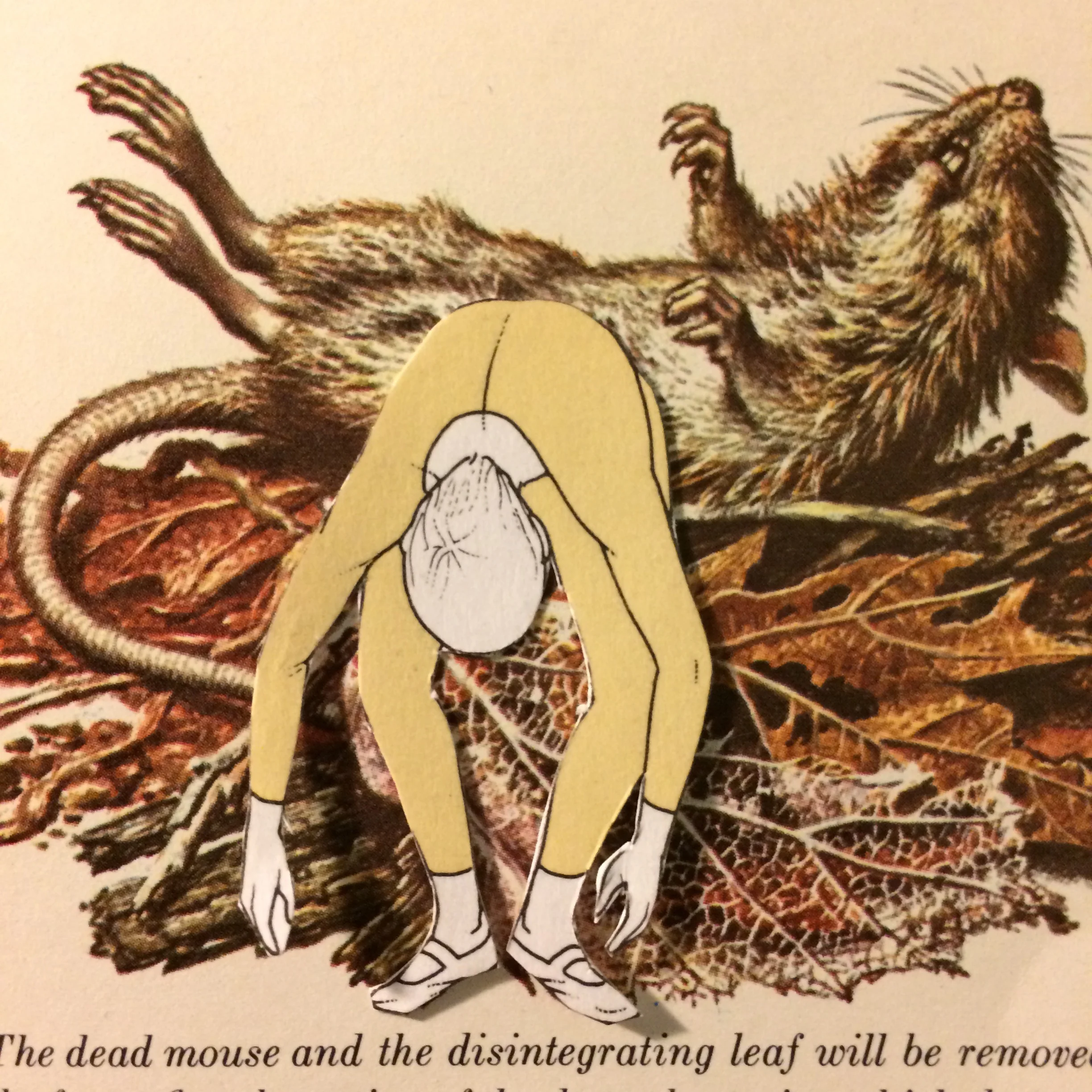 mouse_empathy.jpg