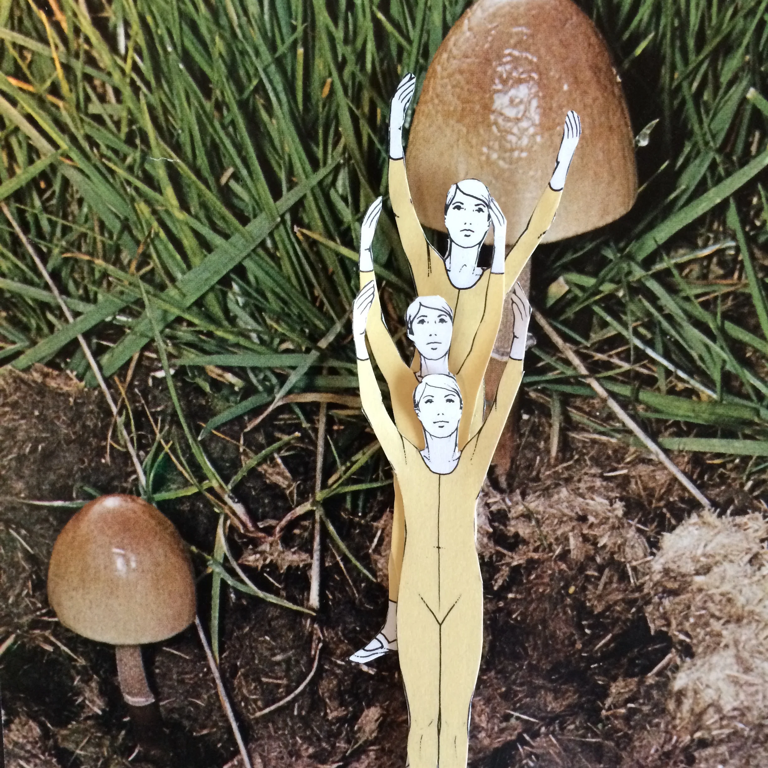 mush06.jpg