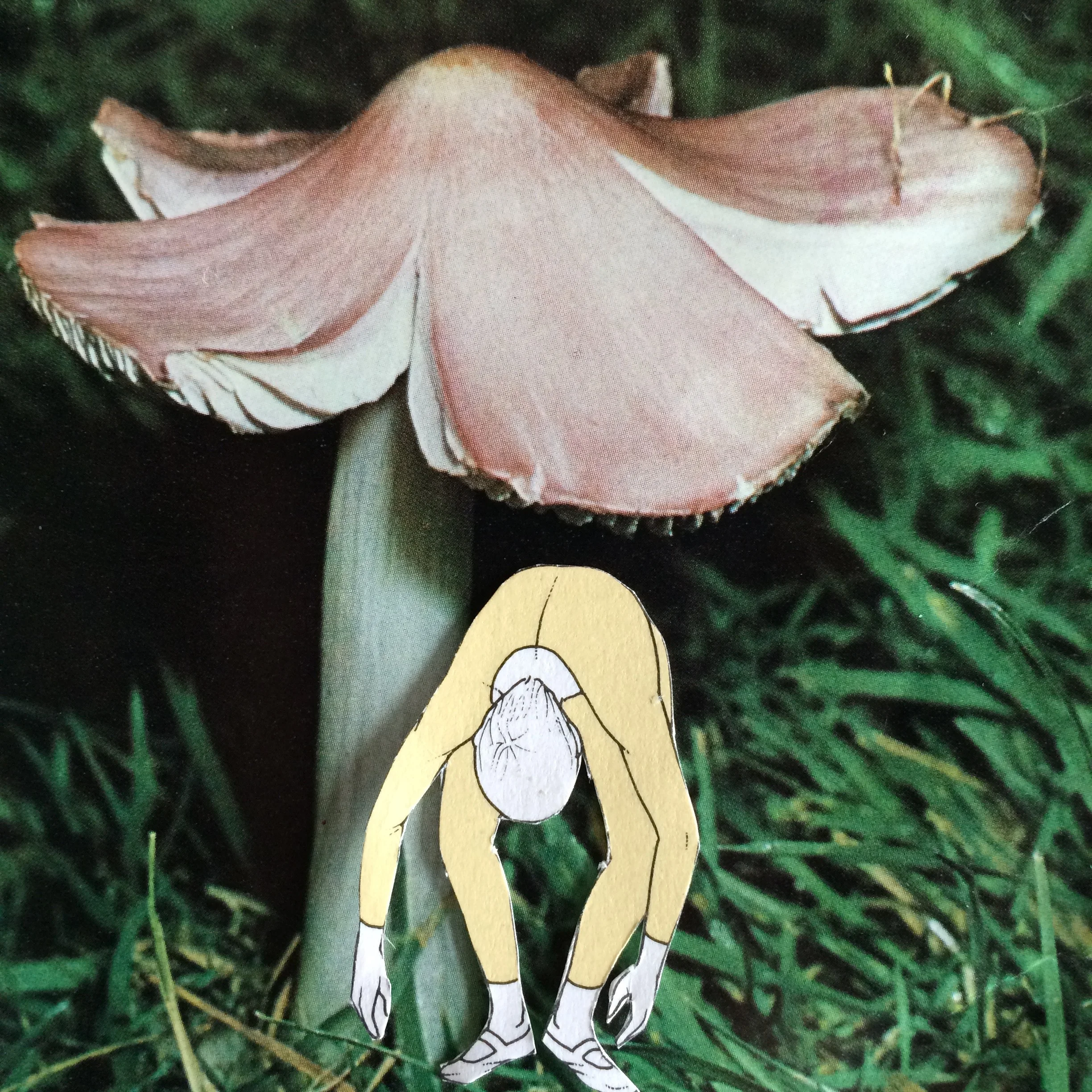 mush11.jpg