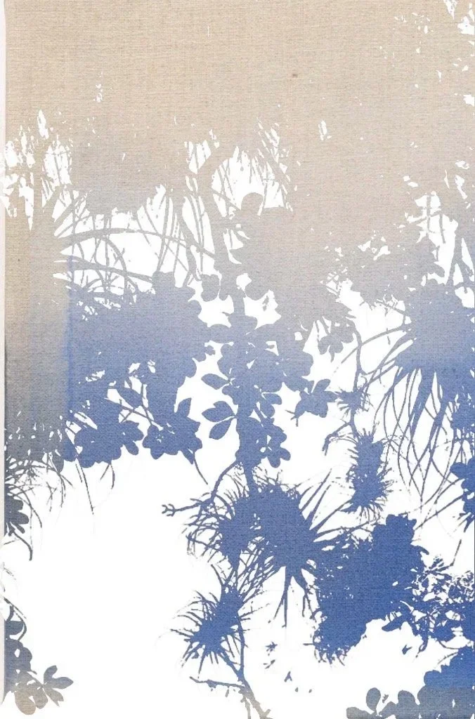 Foliages and contrasts 