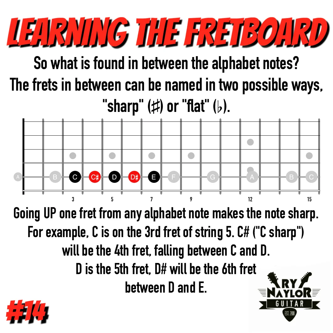 14. SHARP NOTES.jpg