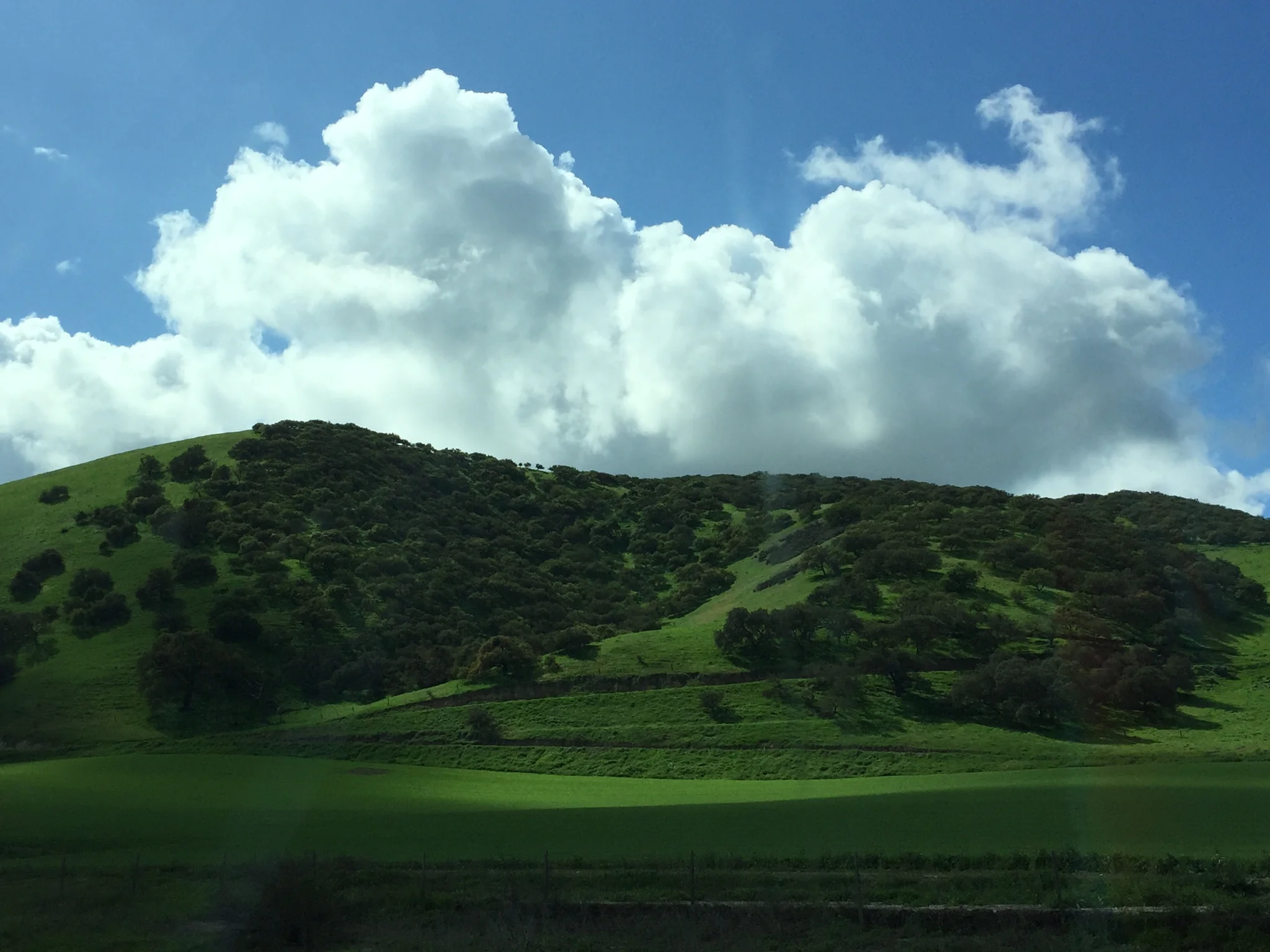 IMG_0839.JPG.jpeg
