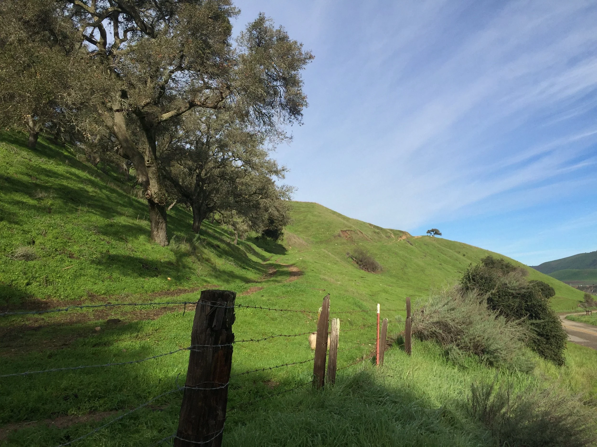 Foxen Canyon Rd Near Santa Maria CA