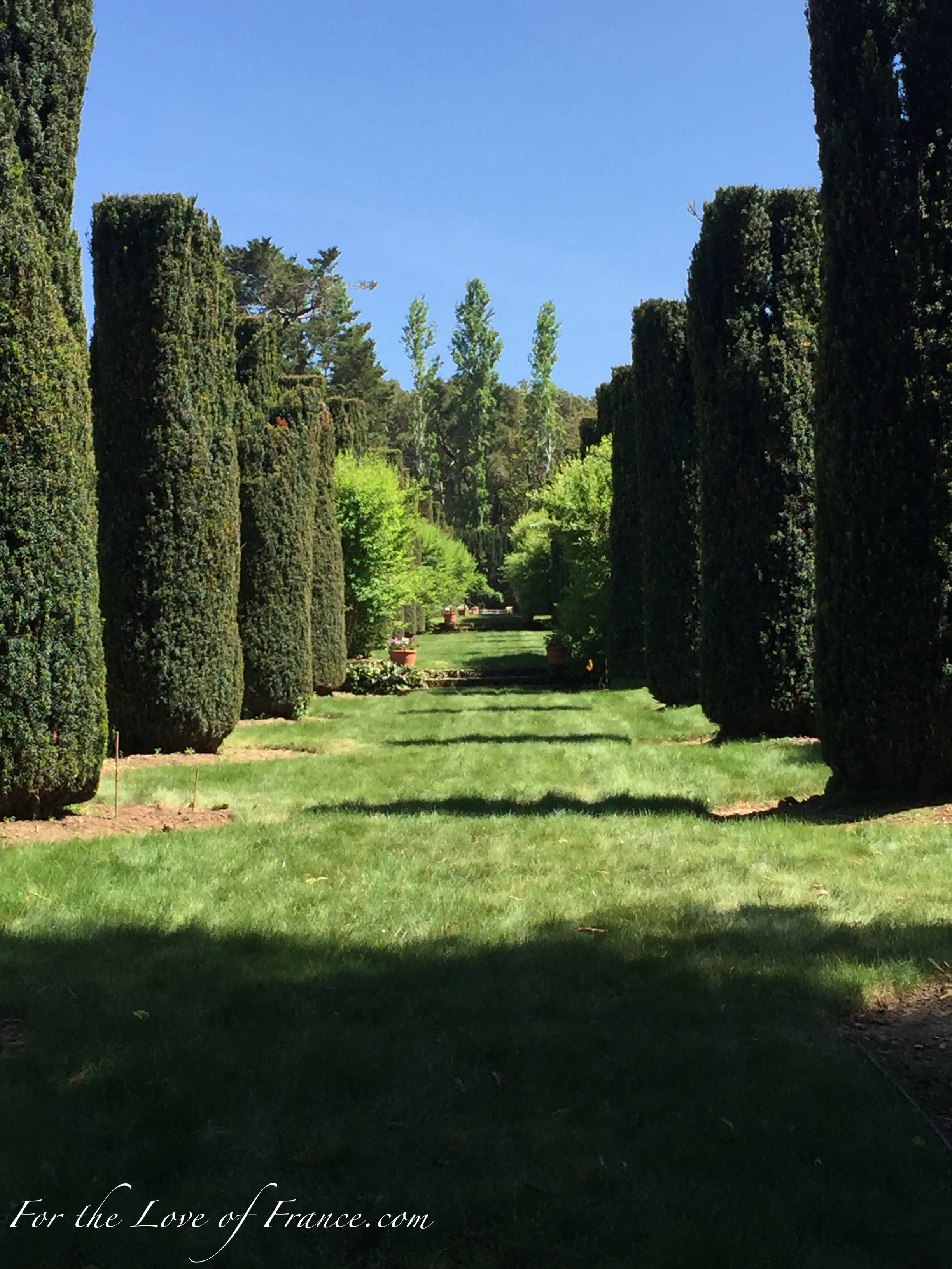 View Yew Allee leading to Back of Garden