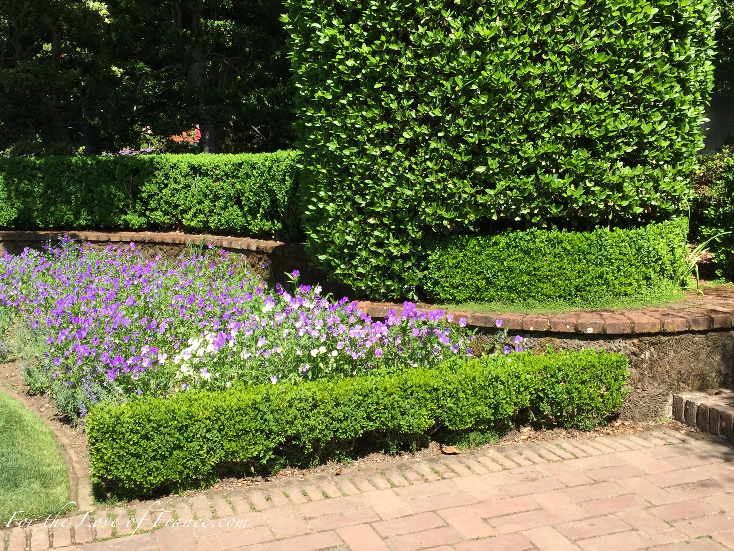 Filoli Garden Spring '17 bk.jpg