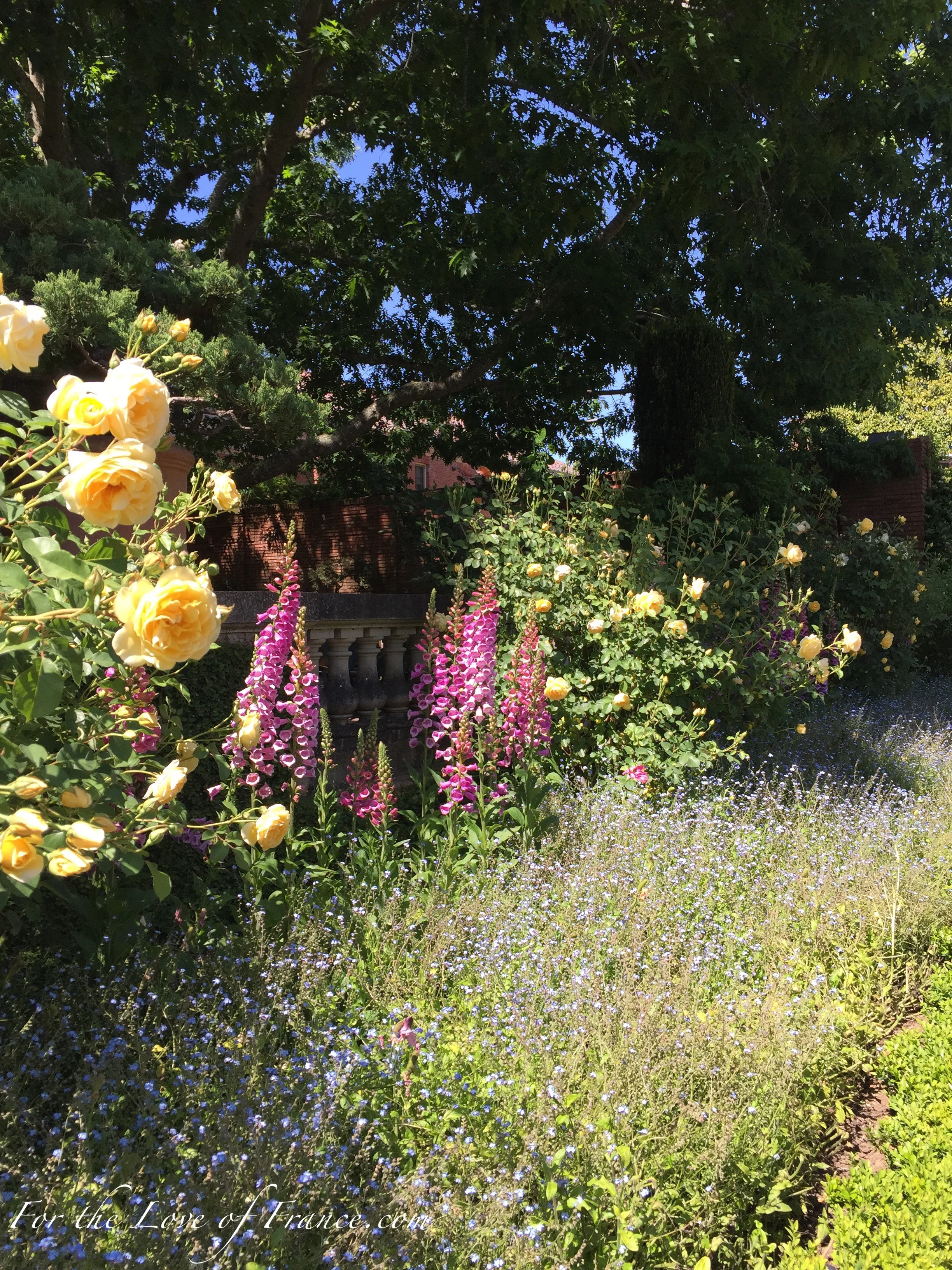 Filoli Garden Spring '17 ce.jpg