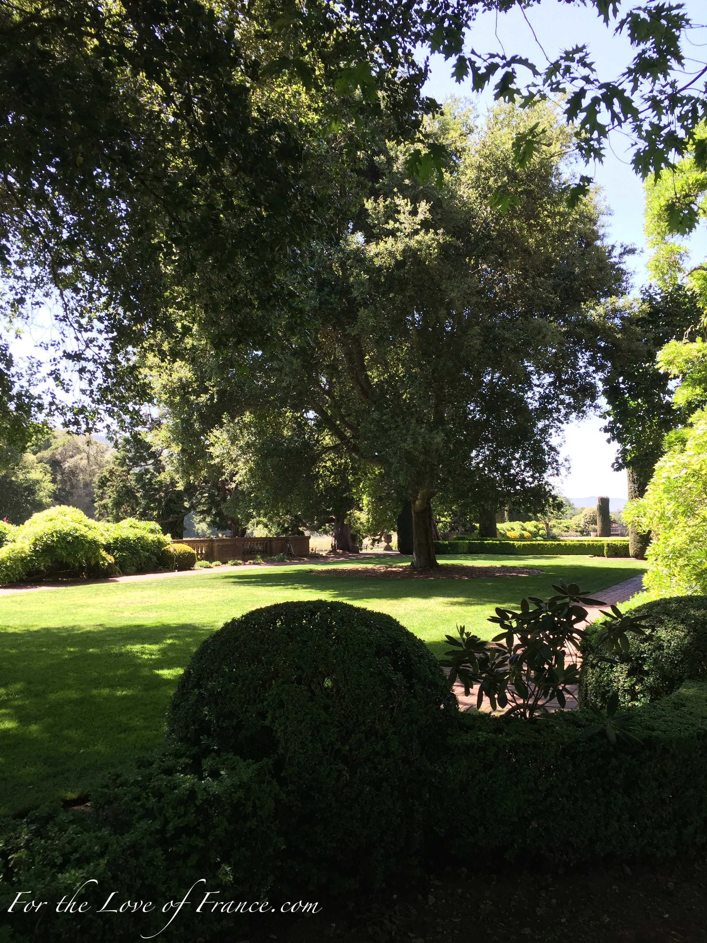 Large Trees Front Lawn and Terrace